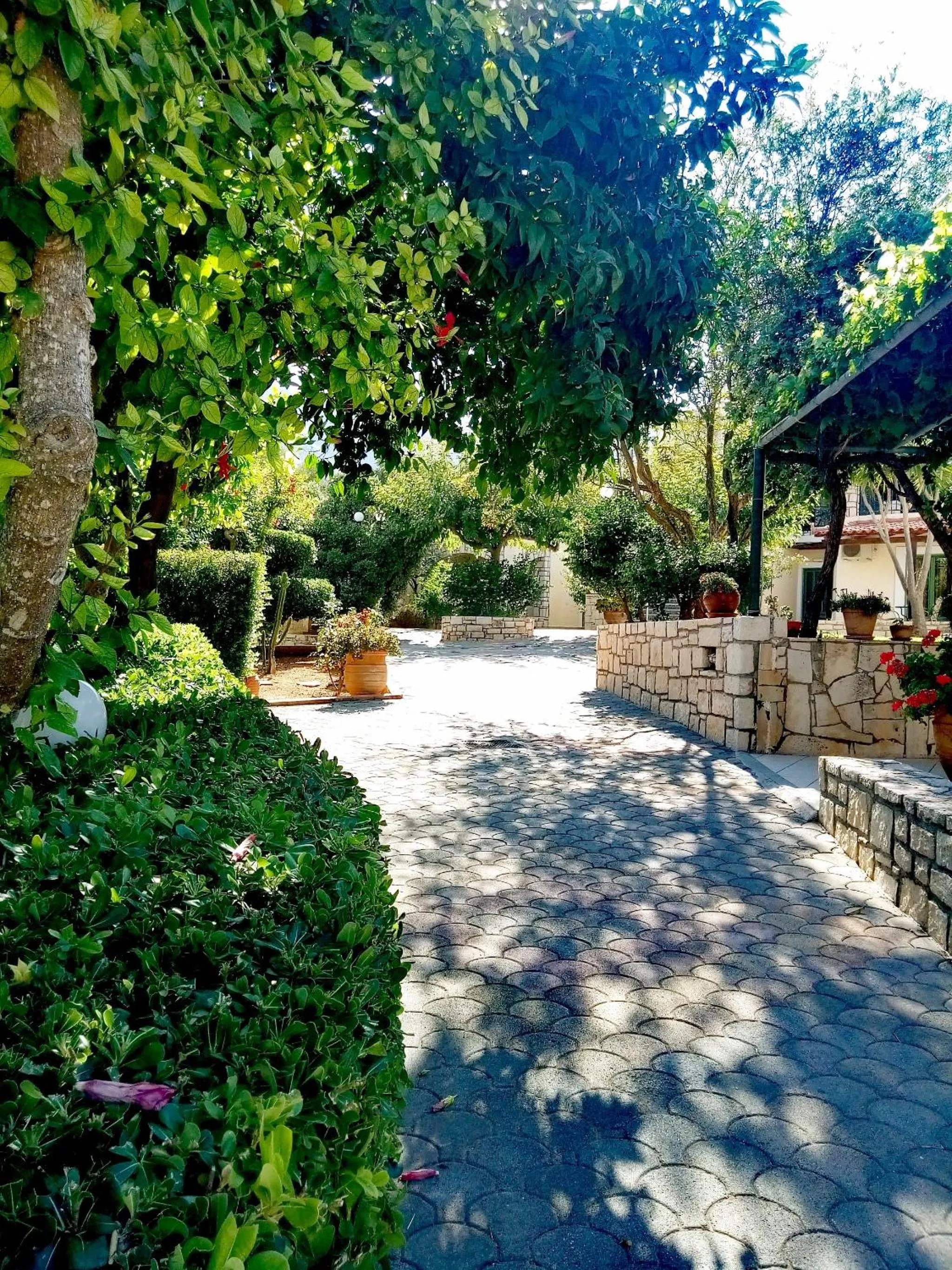 Garden in Villa Vicky