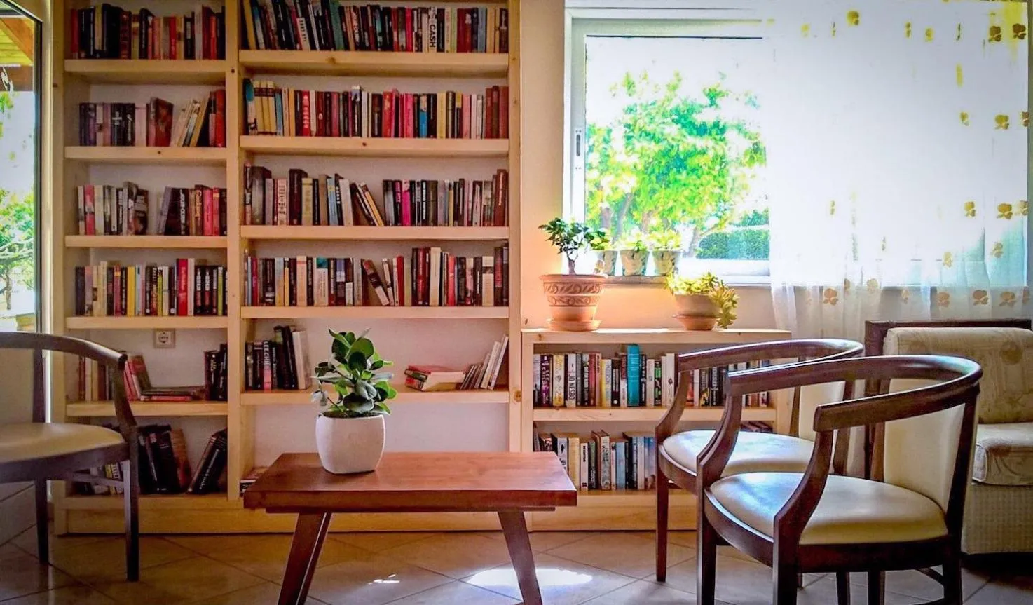 Library in Villa Vicky