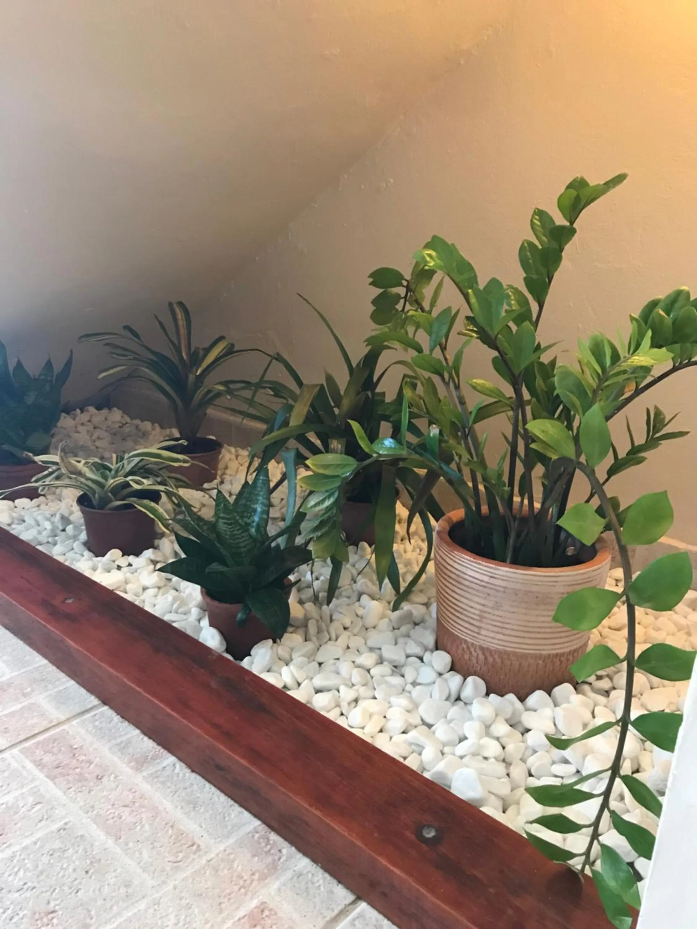 Decorative detail in Pousada Ilha do Encanto