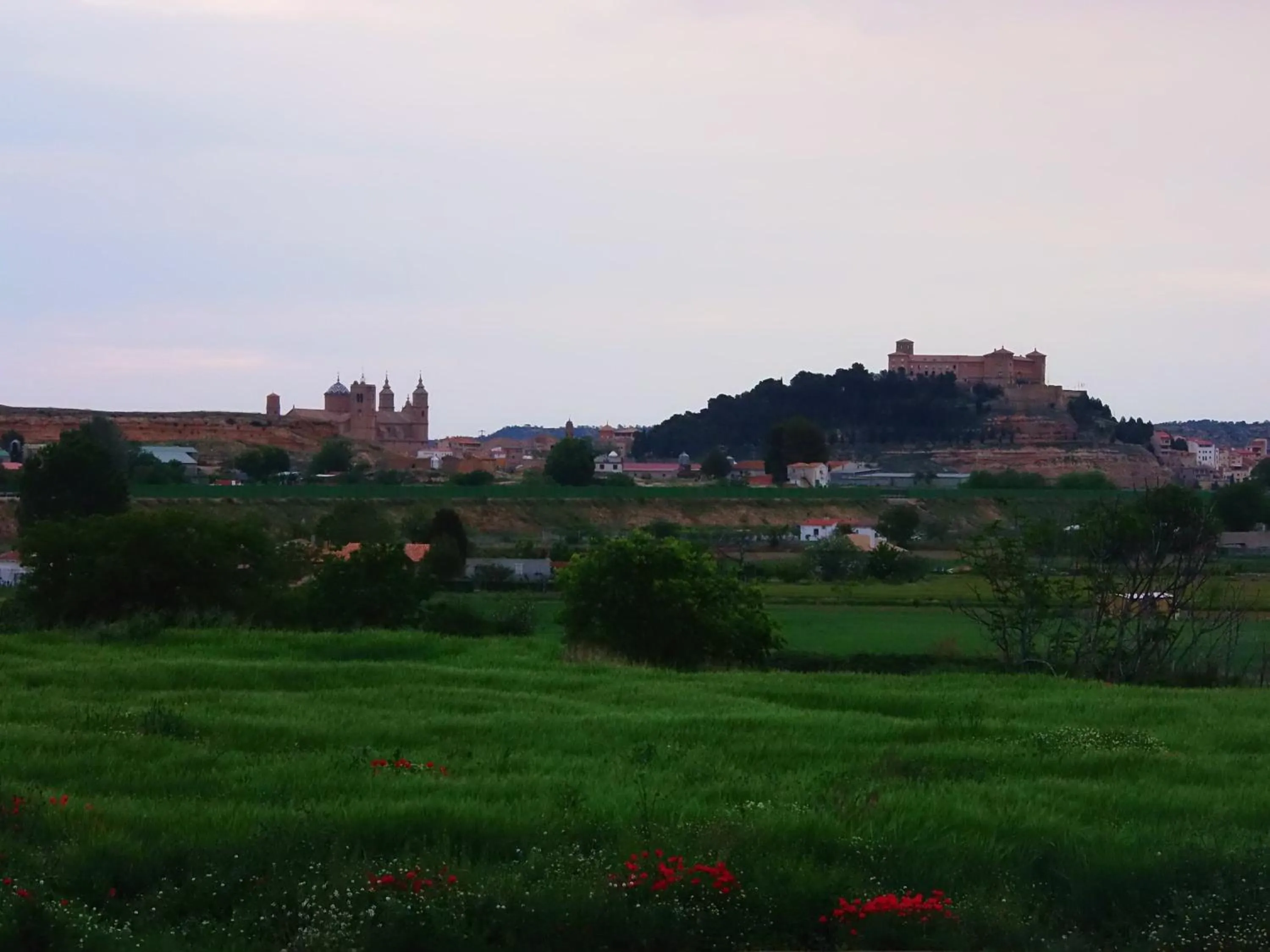 Natural landscape in Hotel Villa Monter