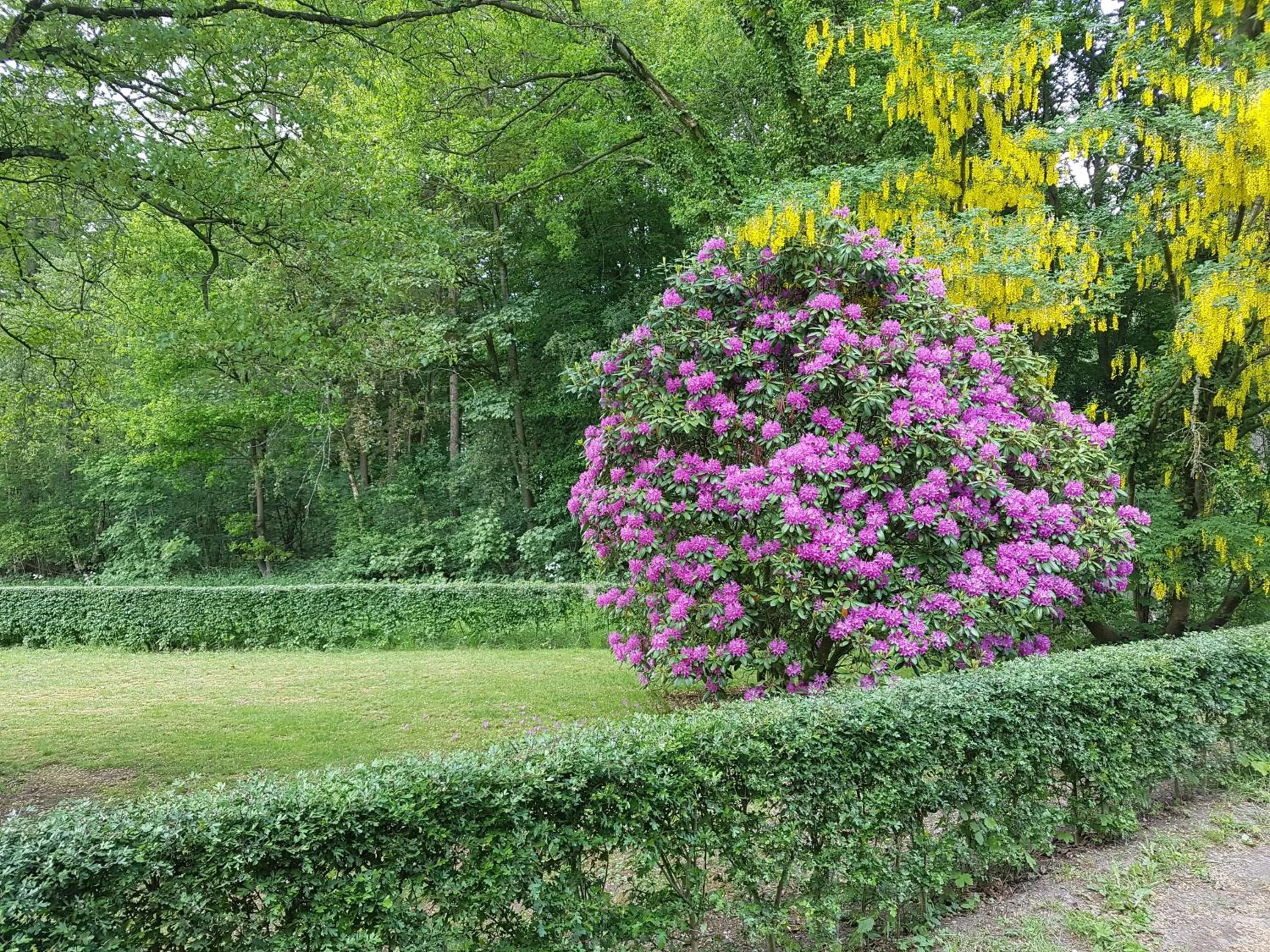 Garden view in B&B de Panheide