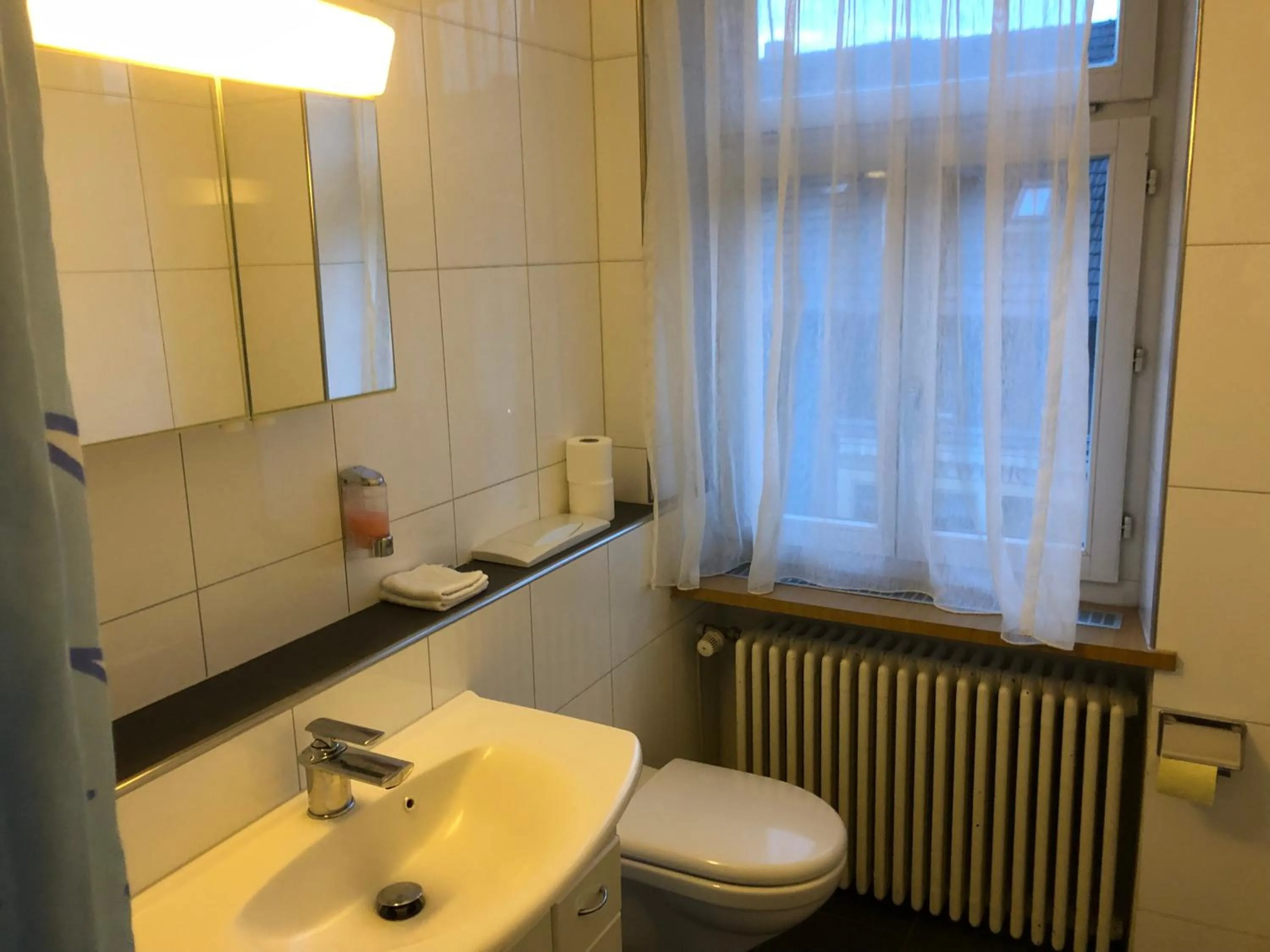 Toilet in SASS APARTHOTEL