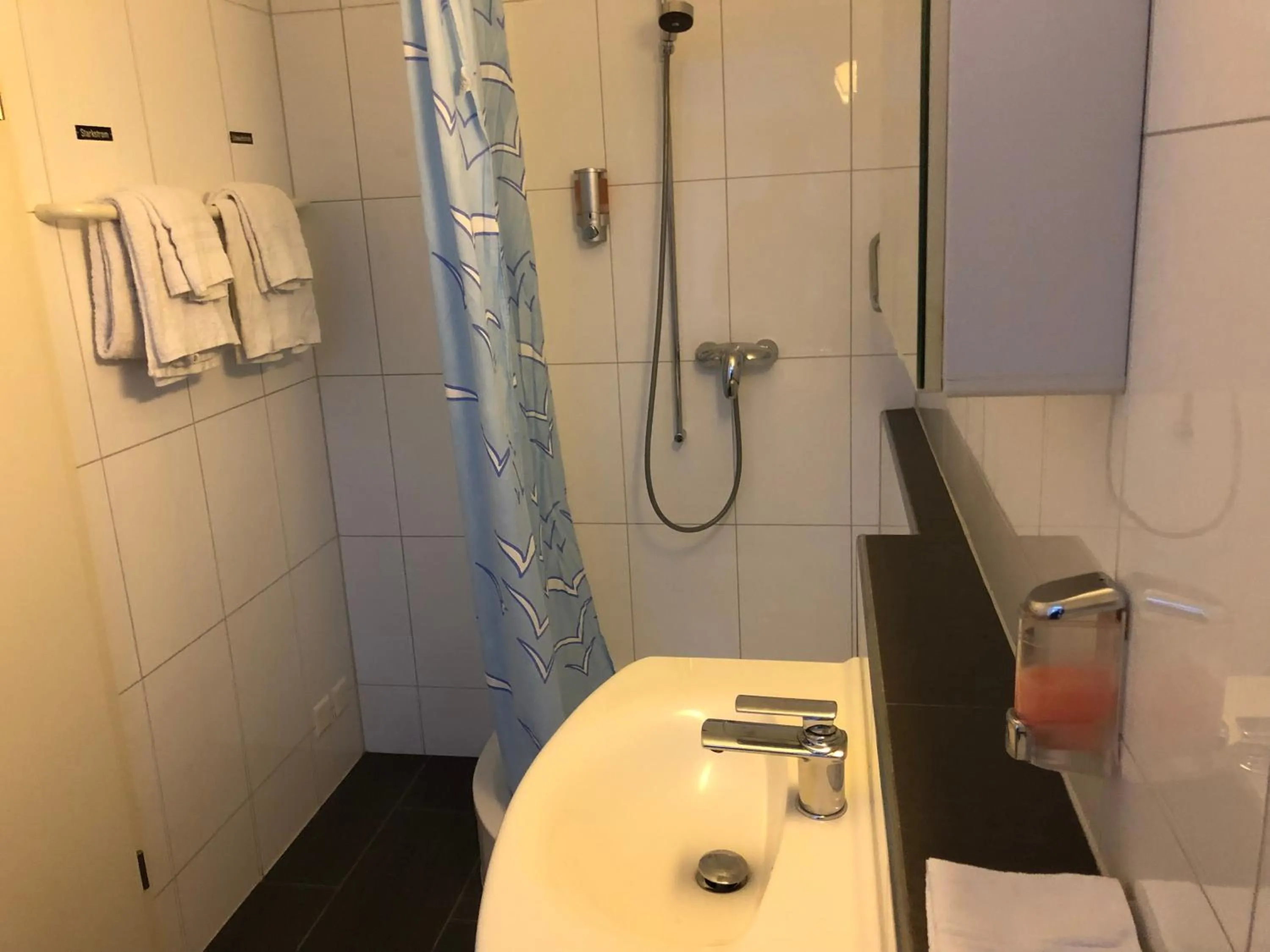 Shower in SASS APARTHOTEL