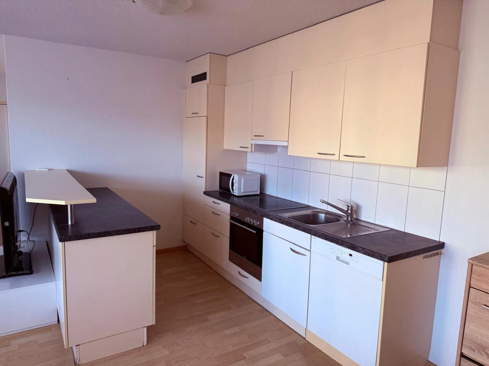 Kitchen or kitchenette in SASS APARTHOTEL