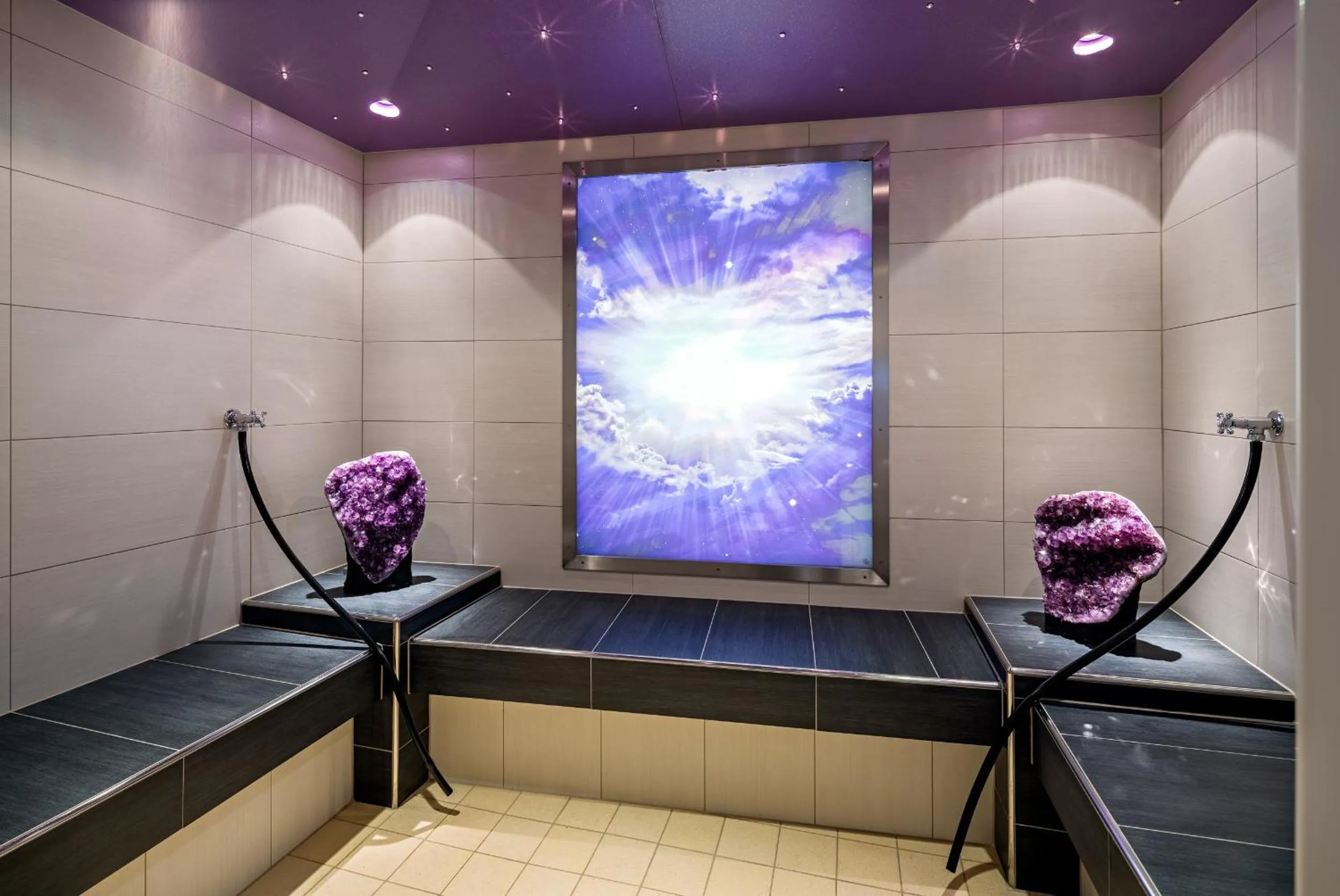 Steam room in Aparthotel Alpendiamant Serfaus Wachter GmbH