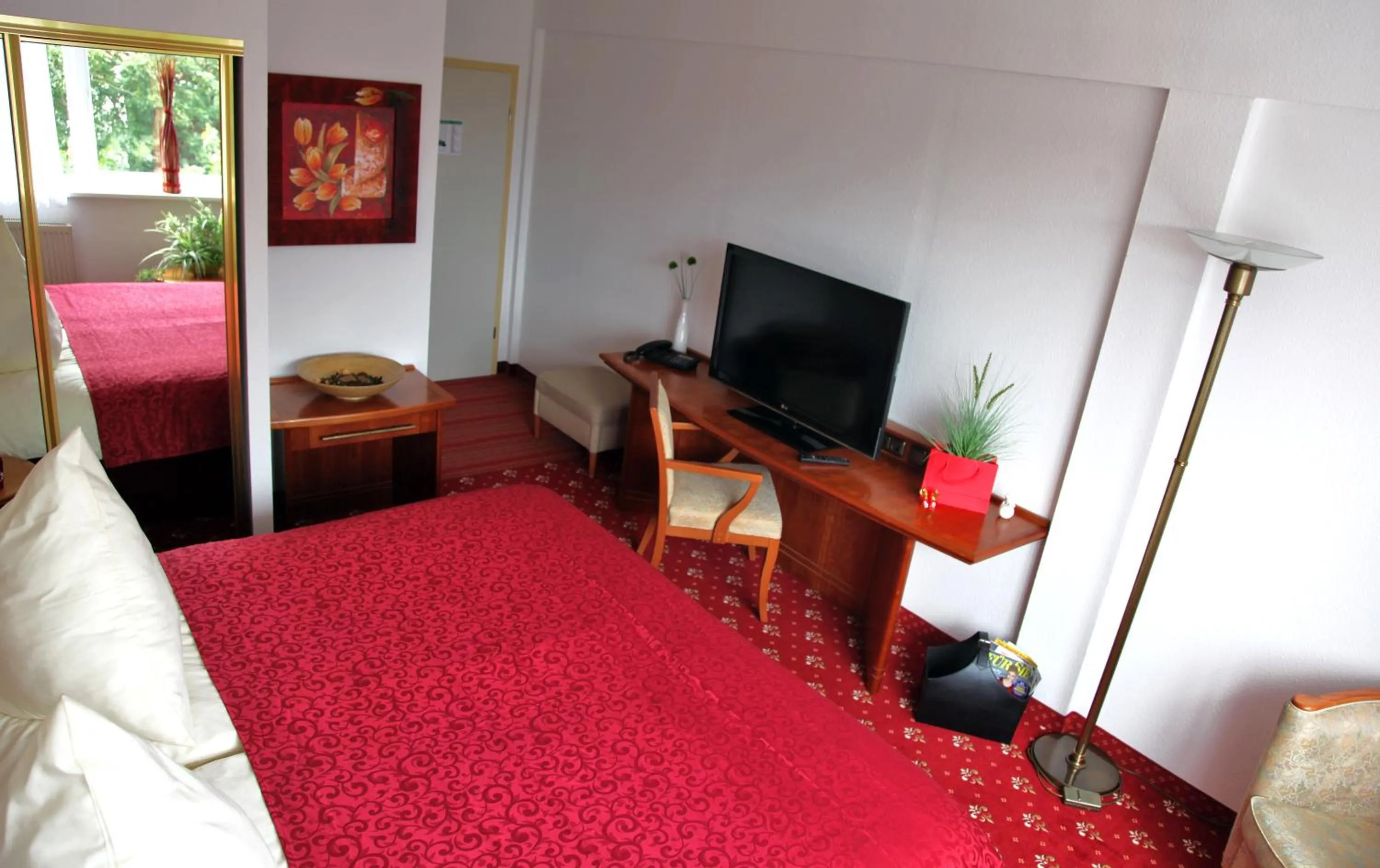 Photo of the whole room in Hotel Antares