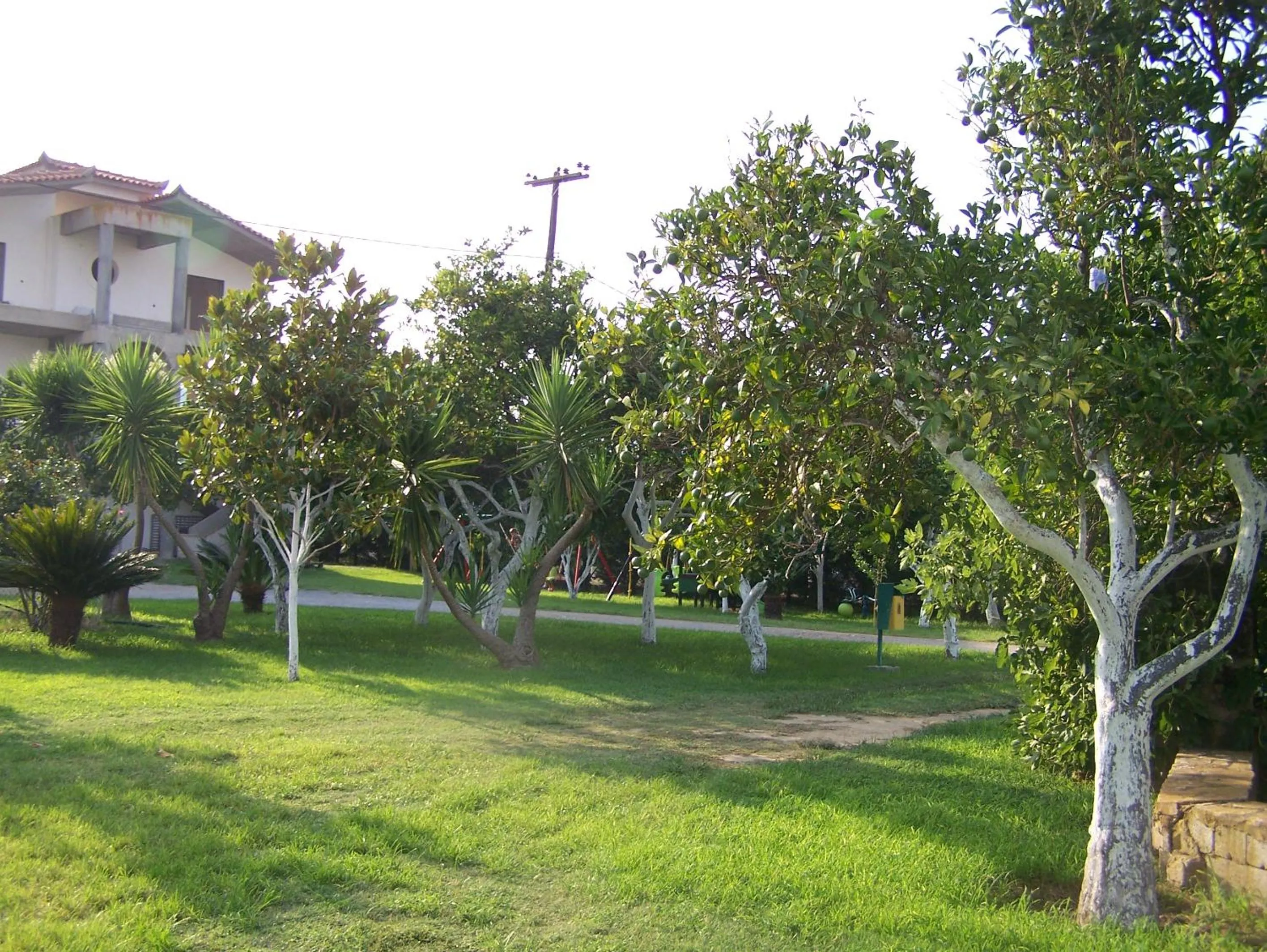 On site in Akroyali Hotel & Villas