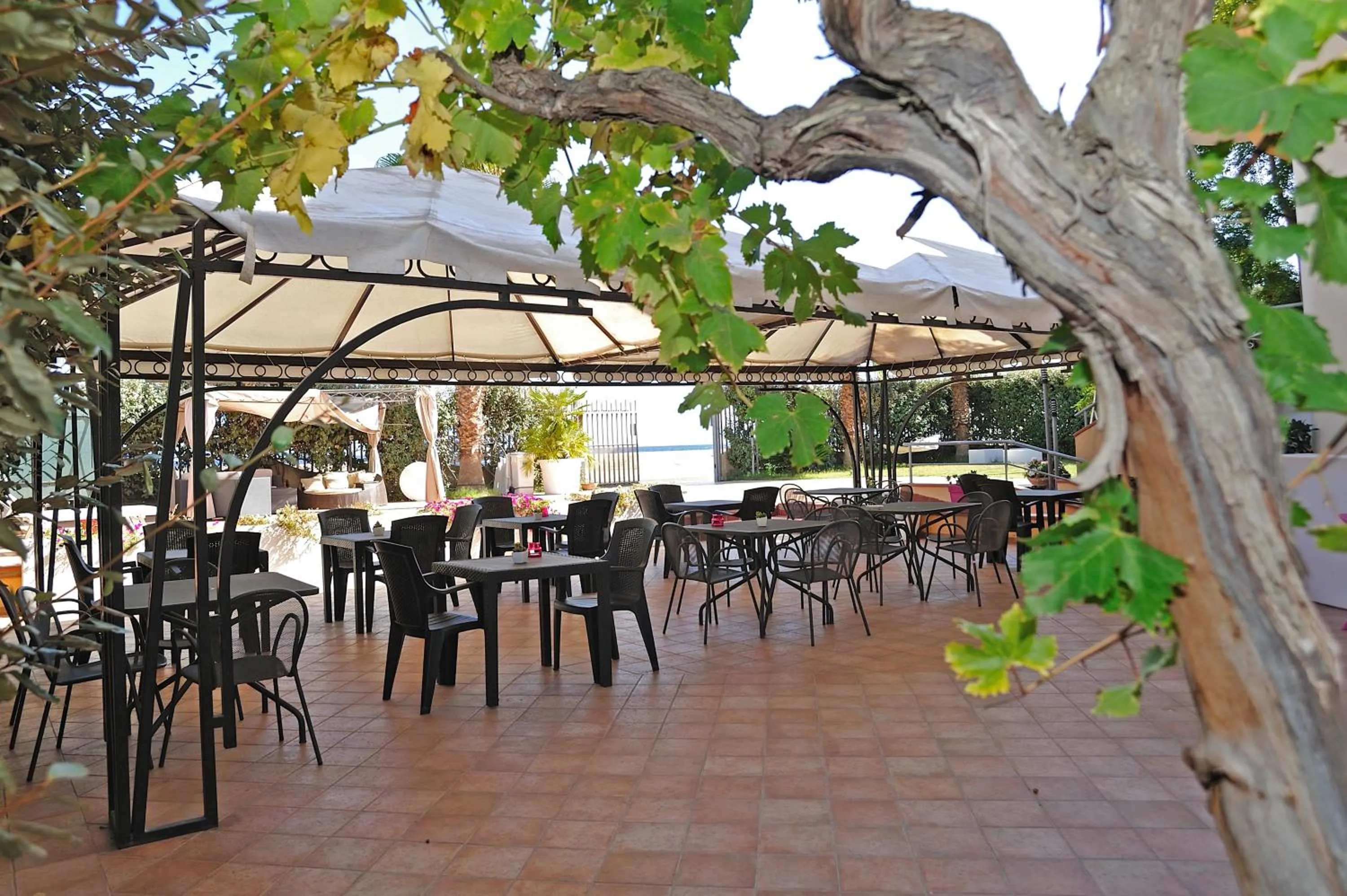 Restaurant/places to eat in Hotel La Villa
