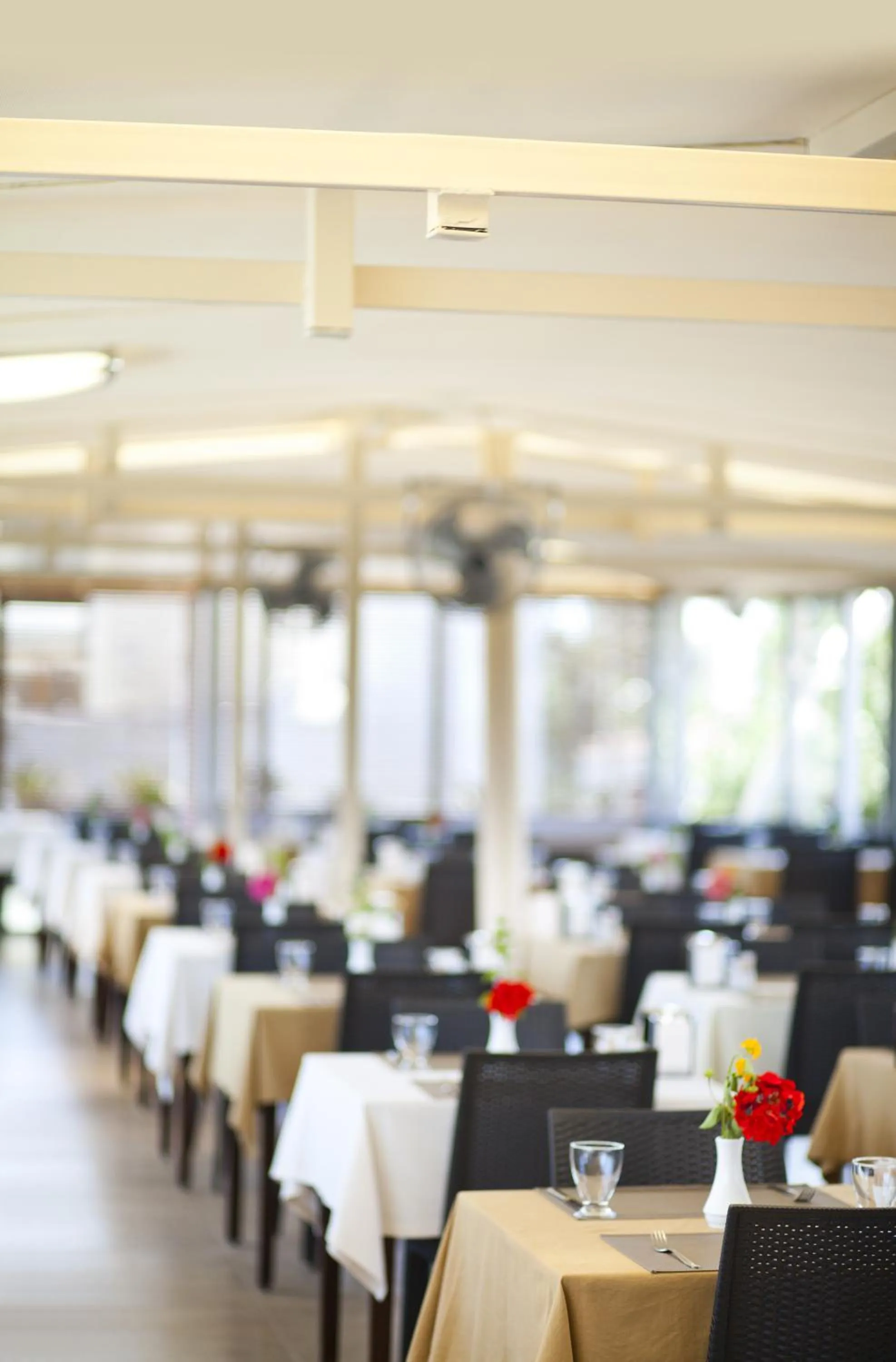 Restaurant/places to eat in Bitez Risa Hotel