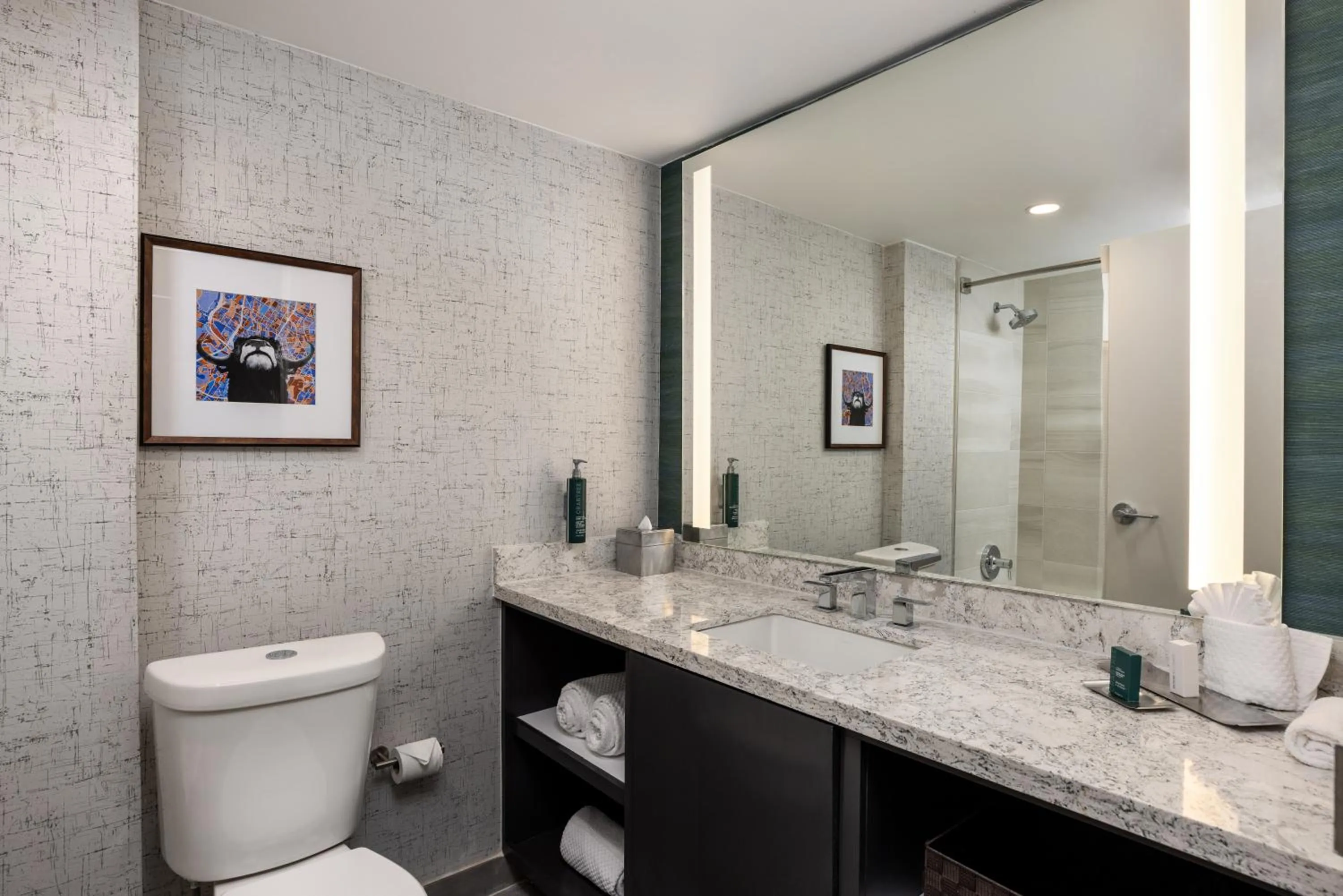 Bathroom in DoubleTree Suites by Hilton Austin Downtown Capitol