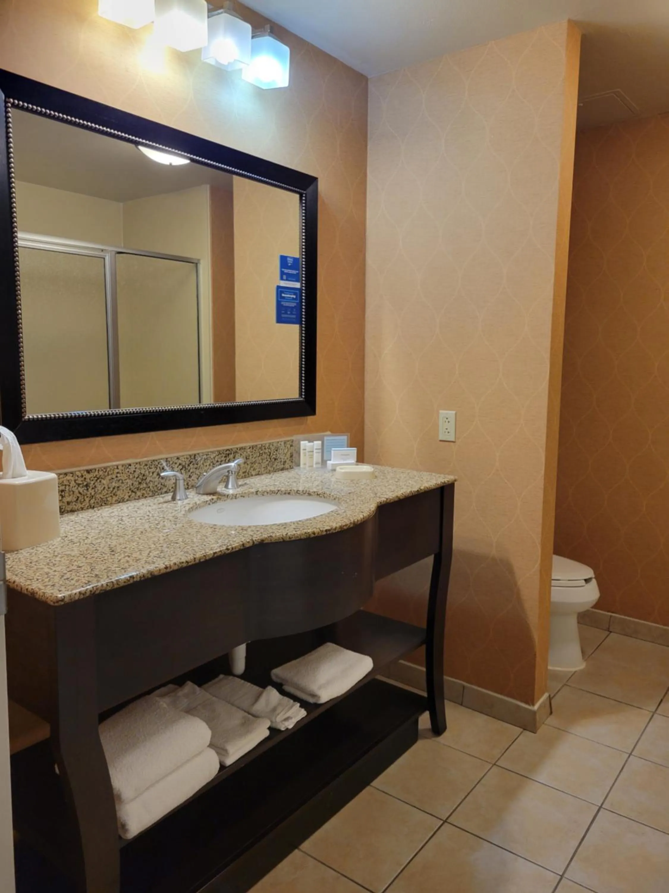 Bathroom in Hampton Inn & Suites Austin Cedar Park-Lakeline