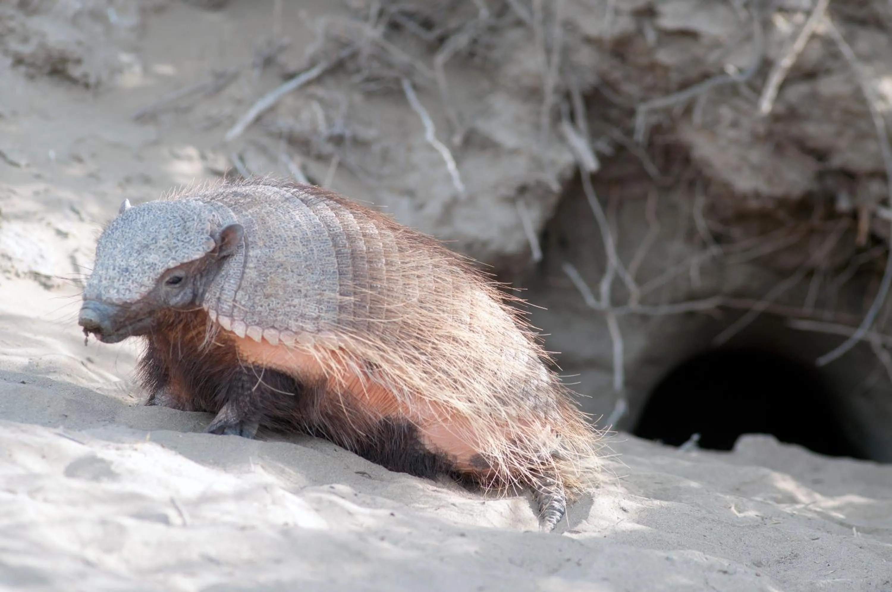 Natural landscape in La Tosca Hostel