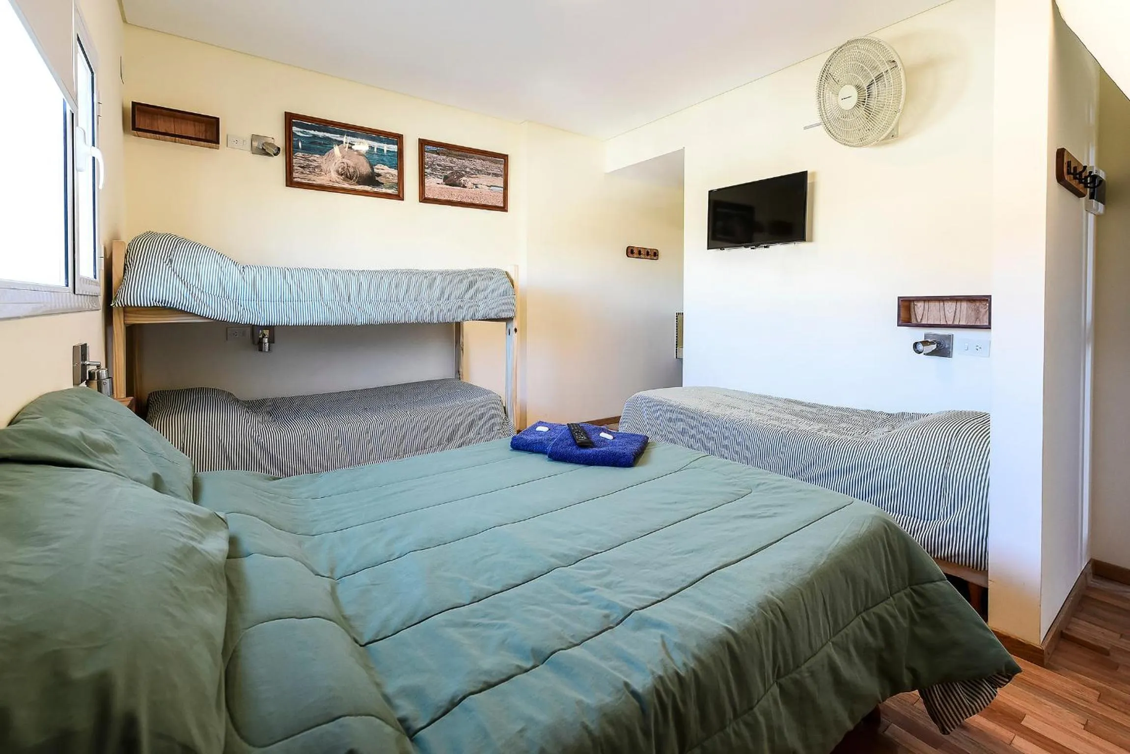 Bed in La Tosca Hostel