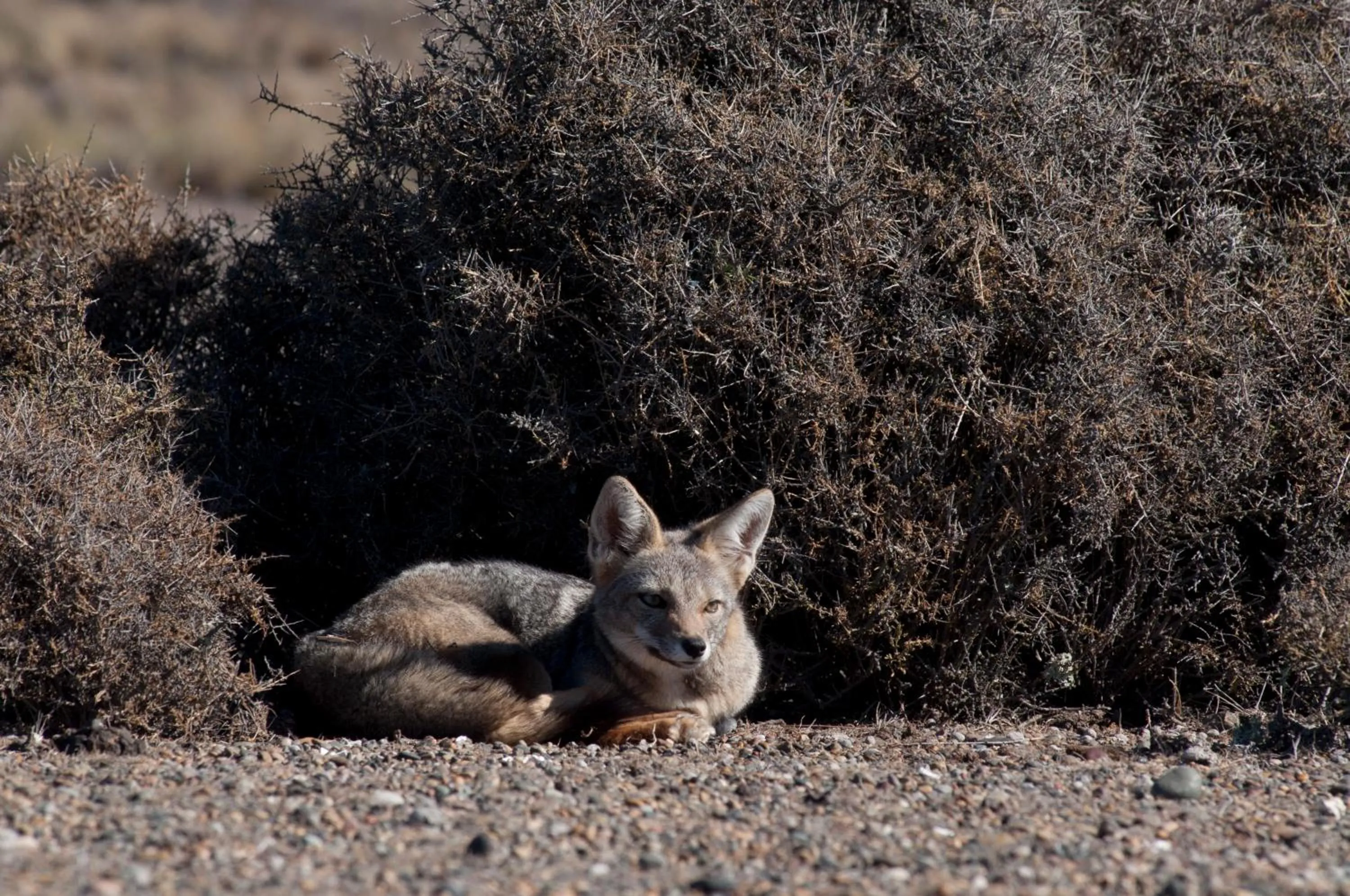 Natural landscape in La Tosca Hostel