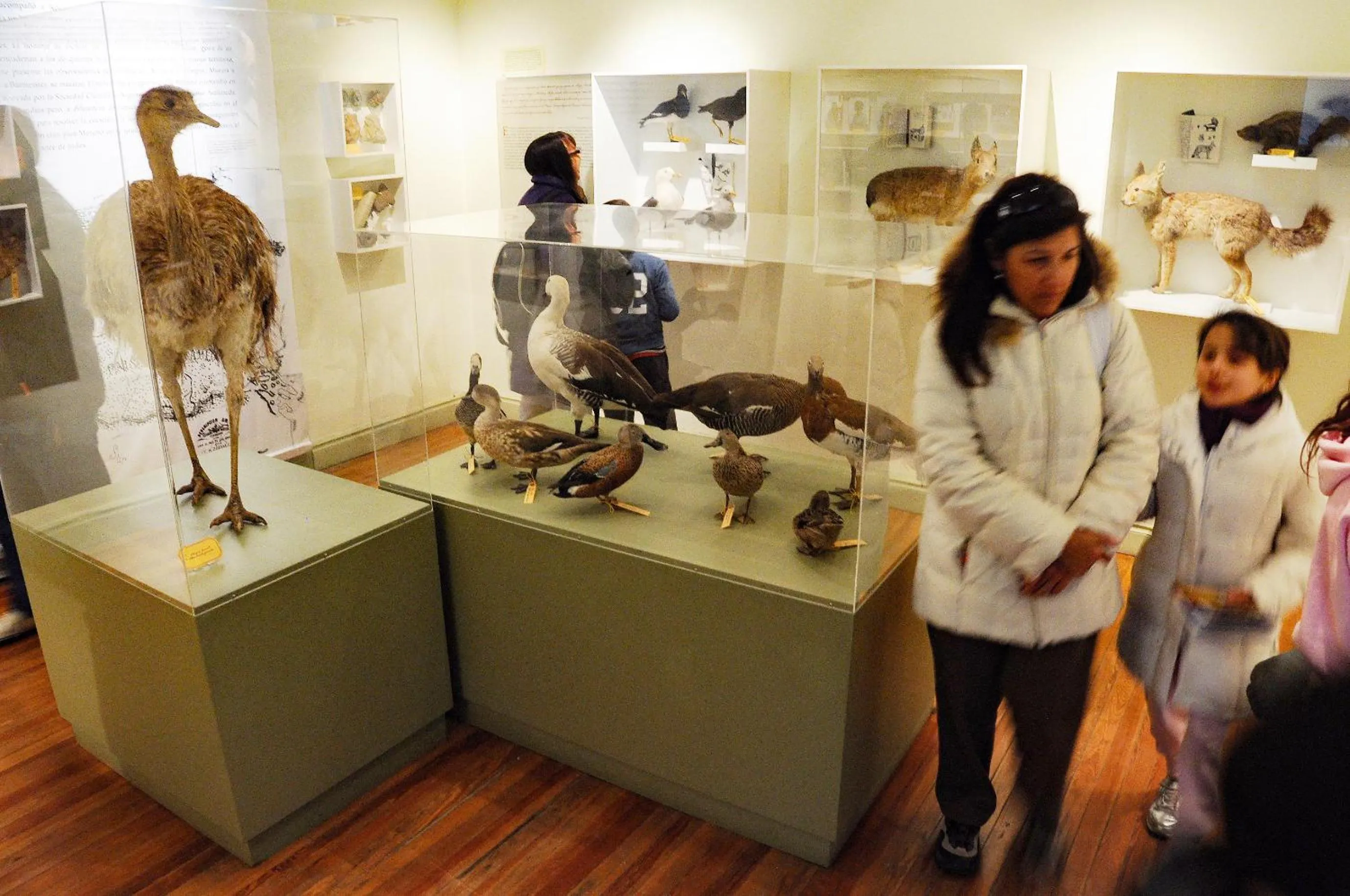 People in La Tosca Hostel