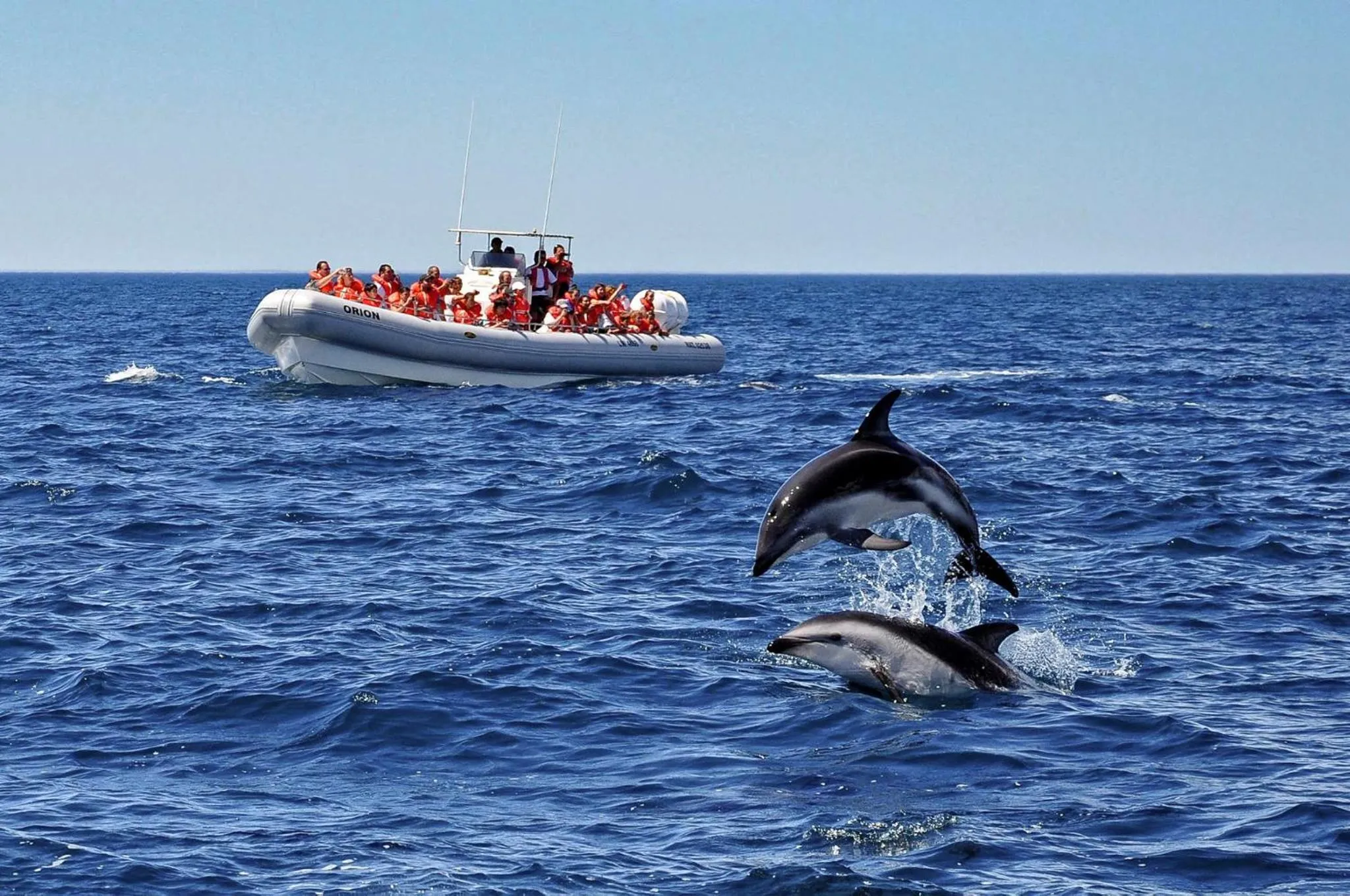 Natural landscape in La Tosca Hostel