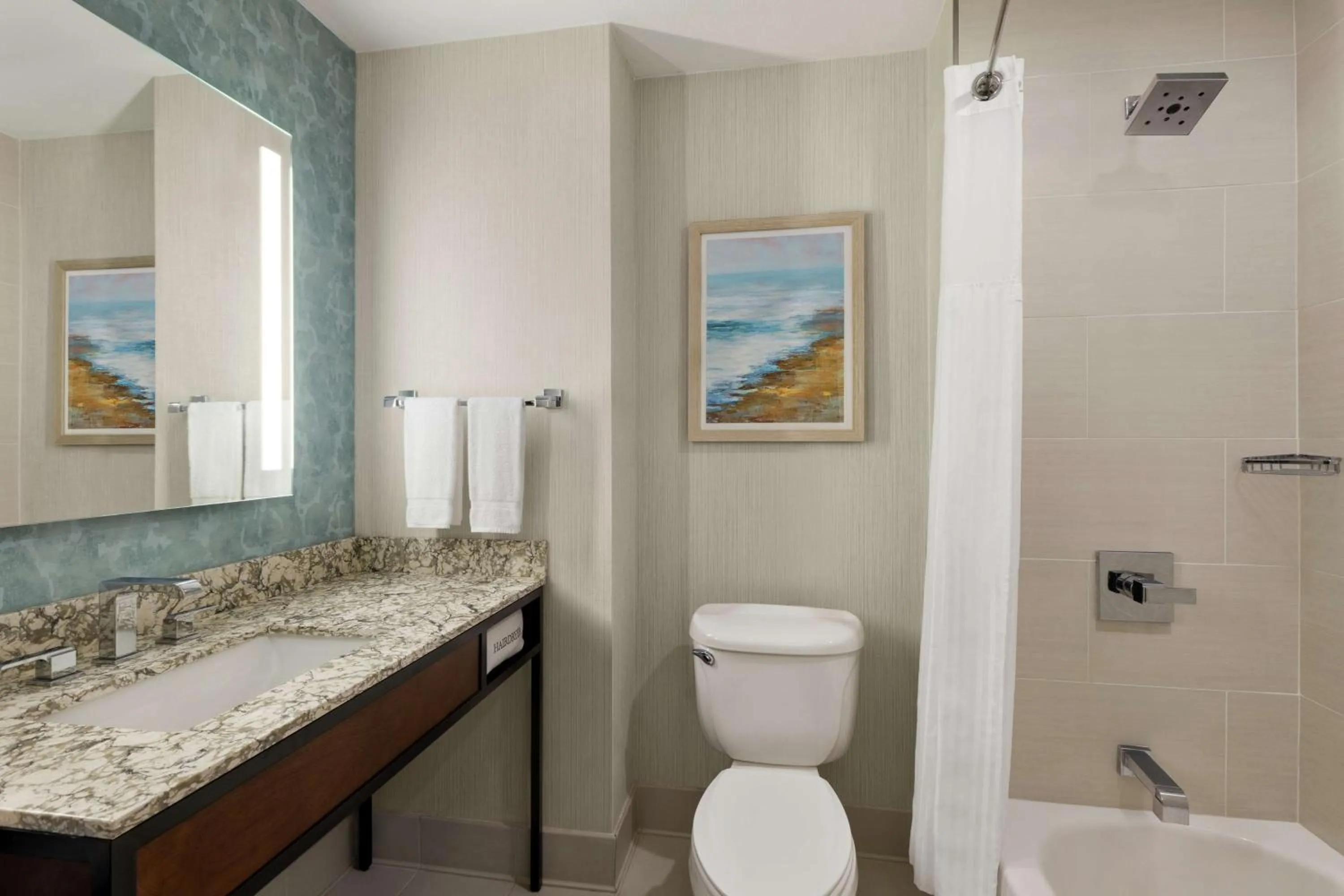 Bathroom in Hilton Garden Inn Carlsbad Beach