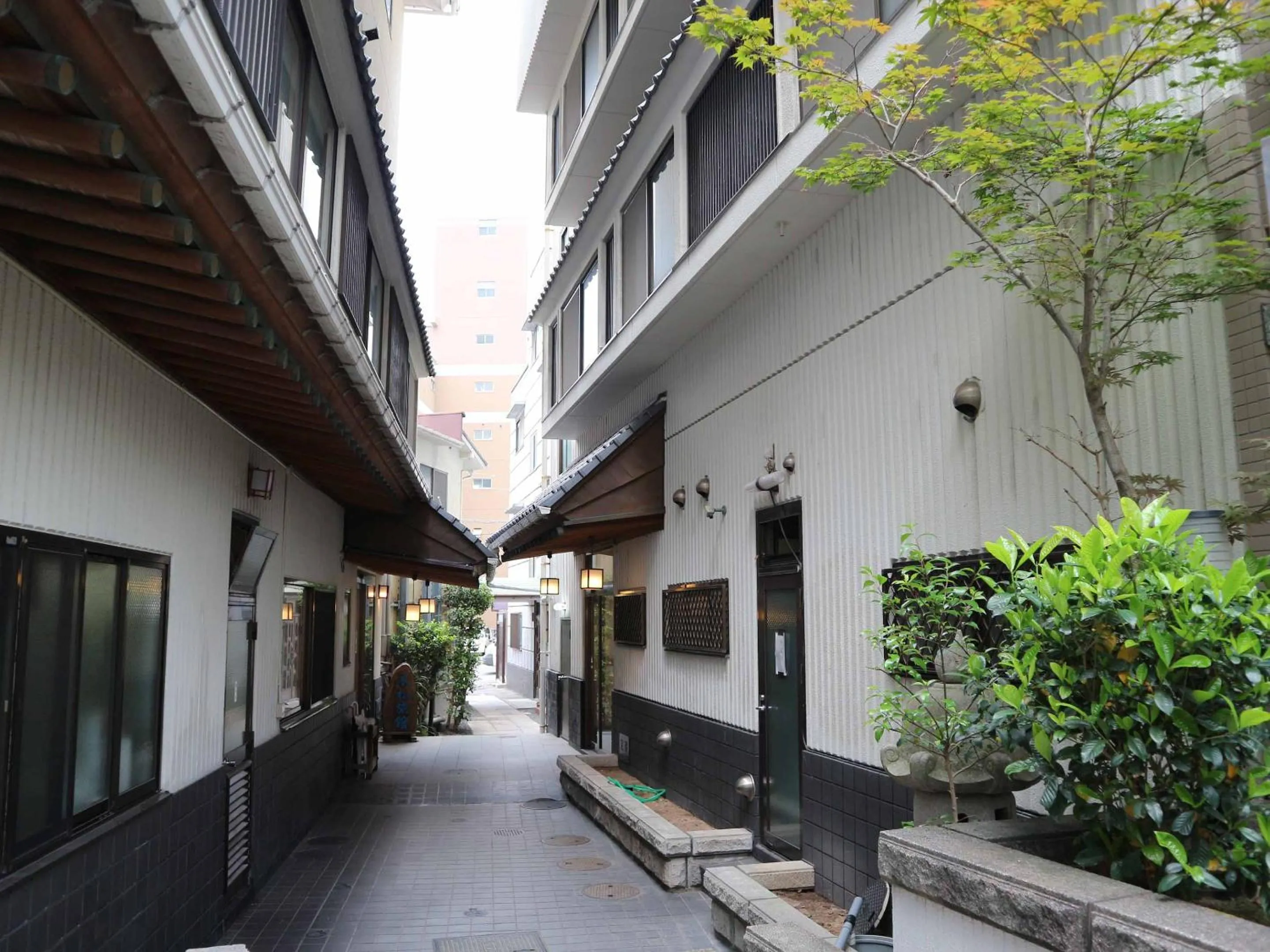 Property building in Kimatsu Ryokan