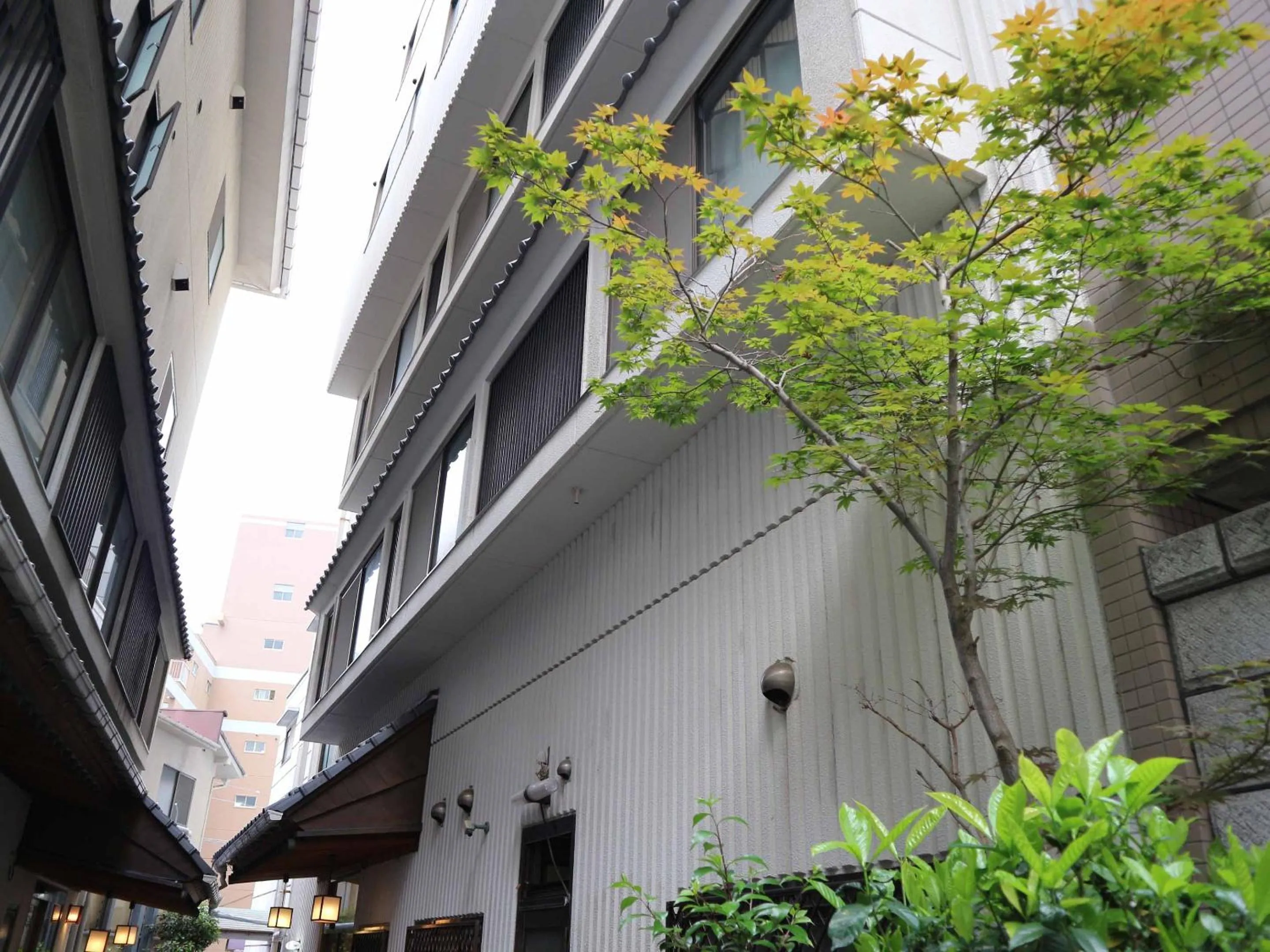 Property building in Kimatsu Ryokan