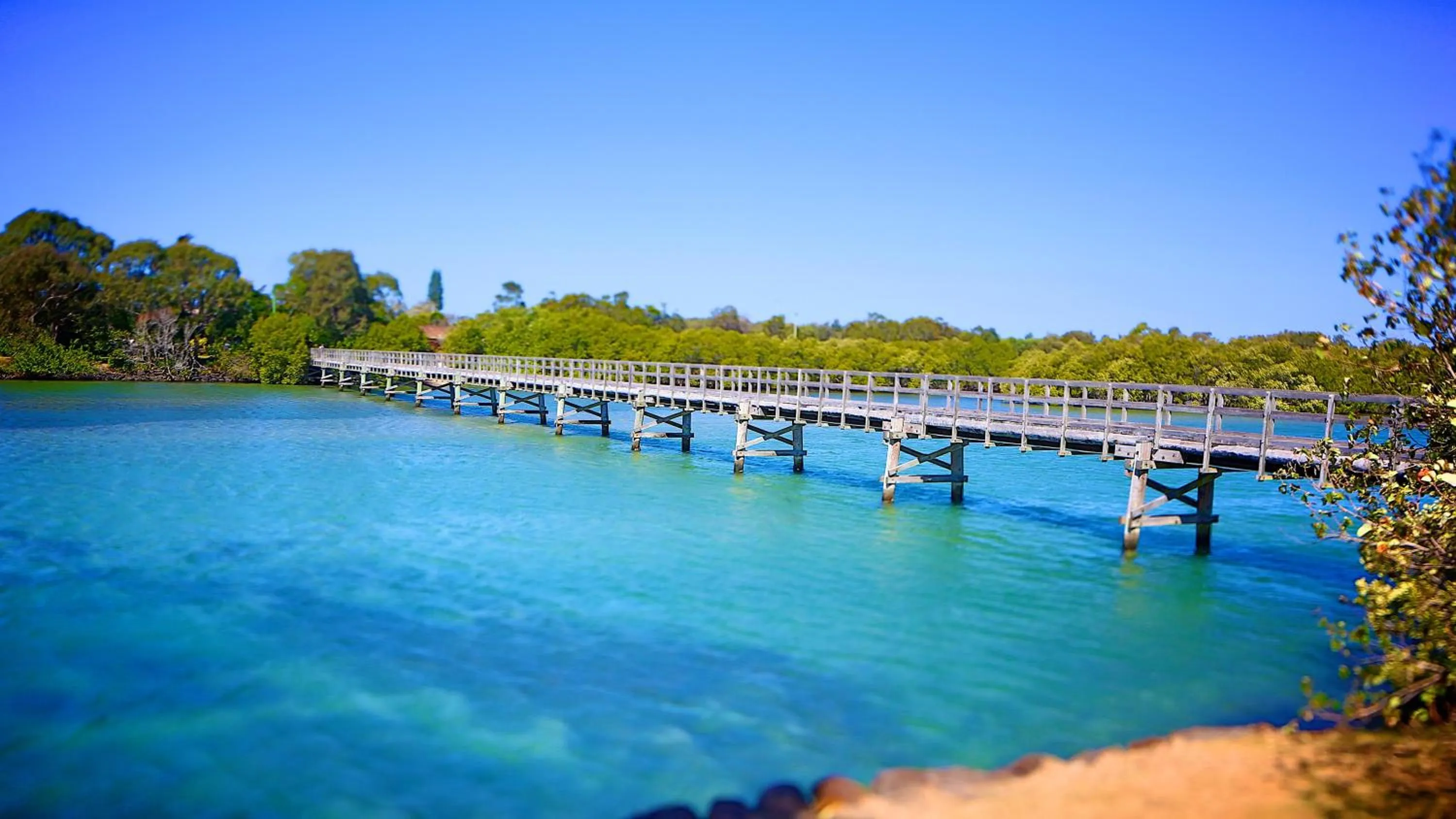 Bird's eye view in Brunswick River Inn
