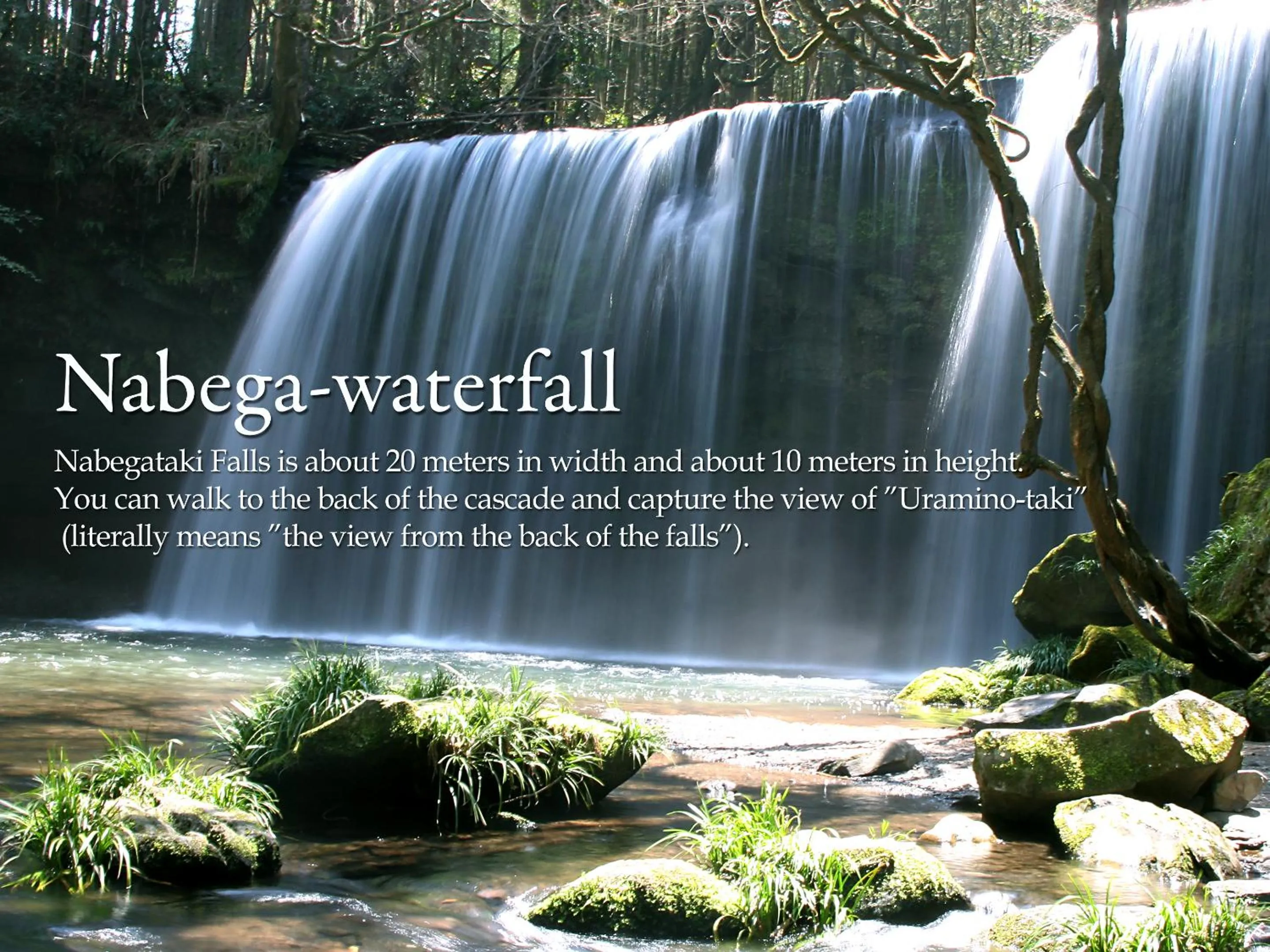 Nearby landmark in Shikino Mori