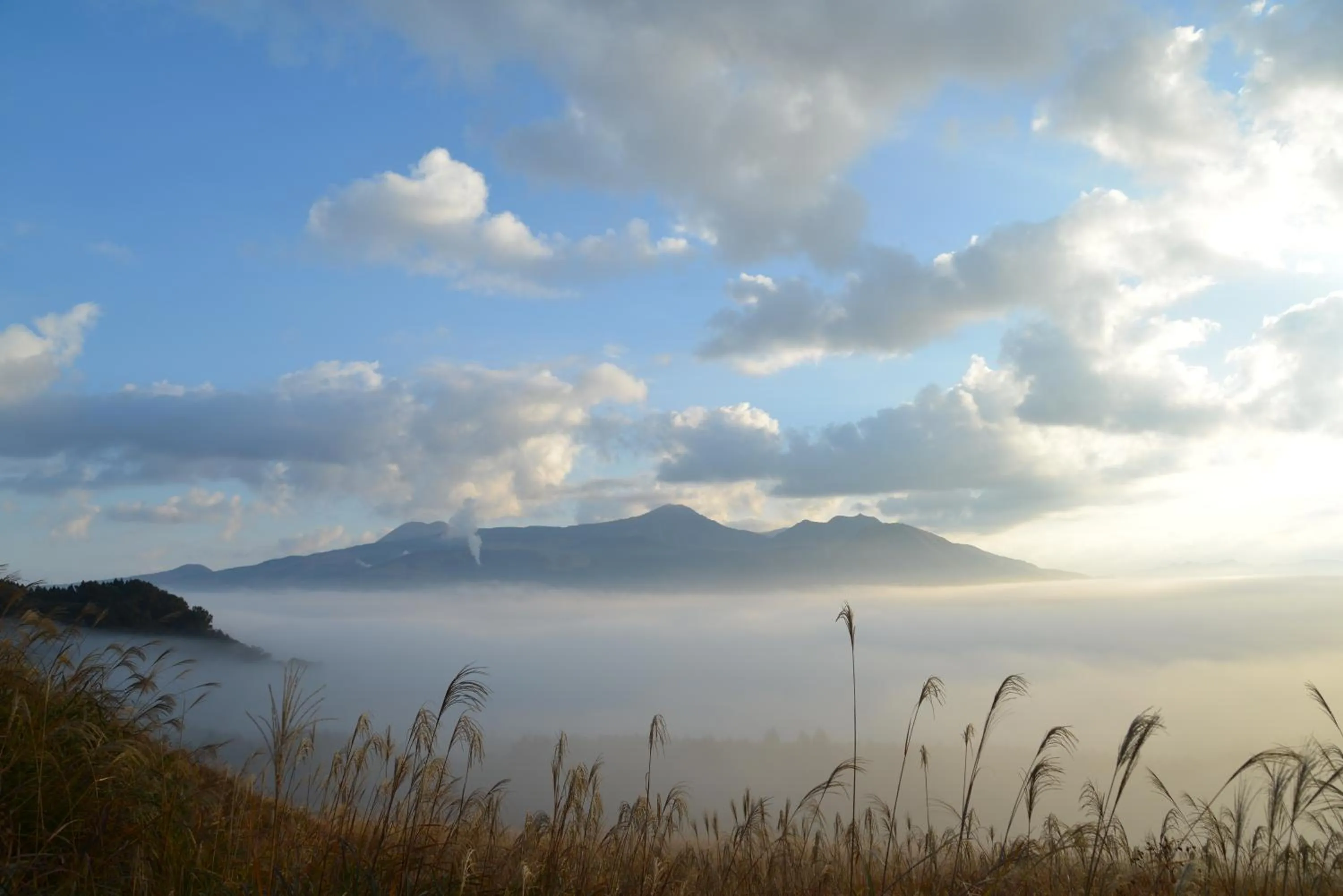 Natural landscape in Shikino Mori
