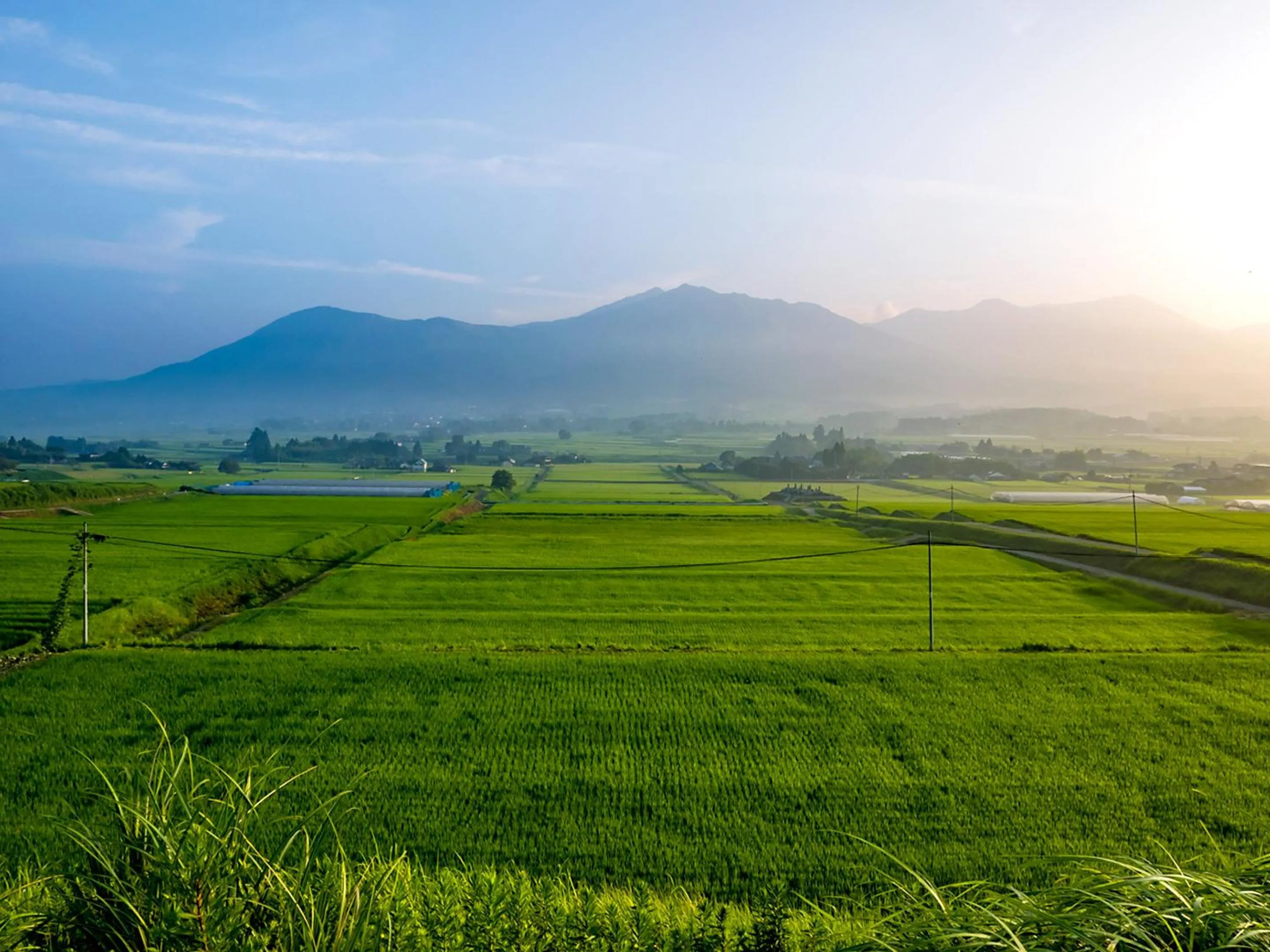 Off site in Shikino Mori