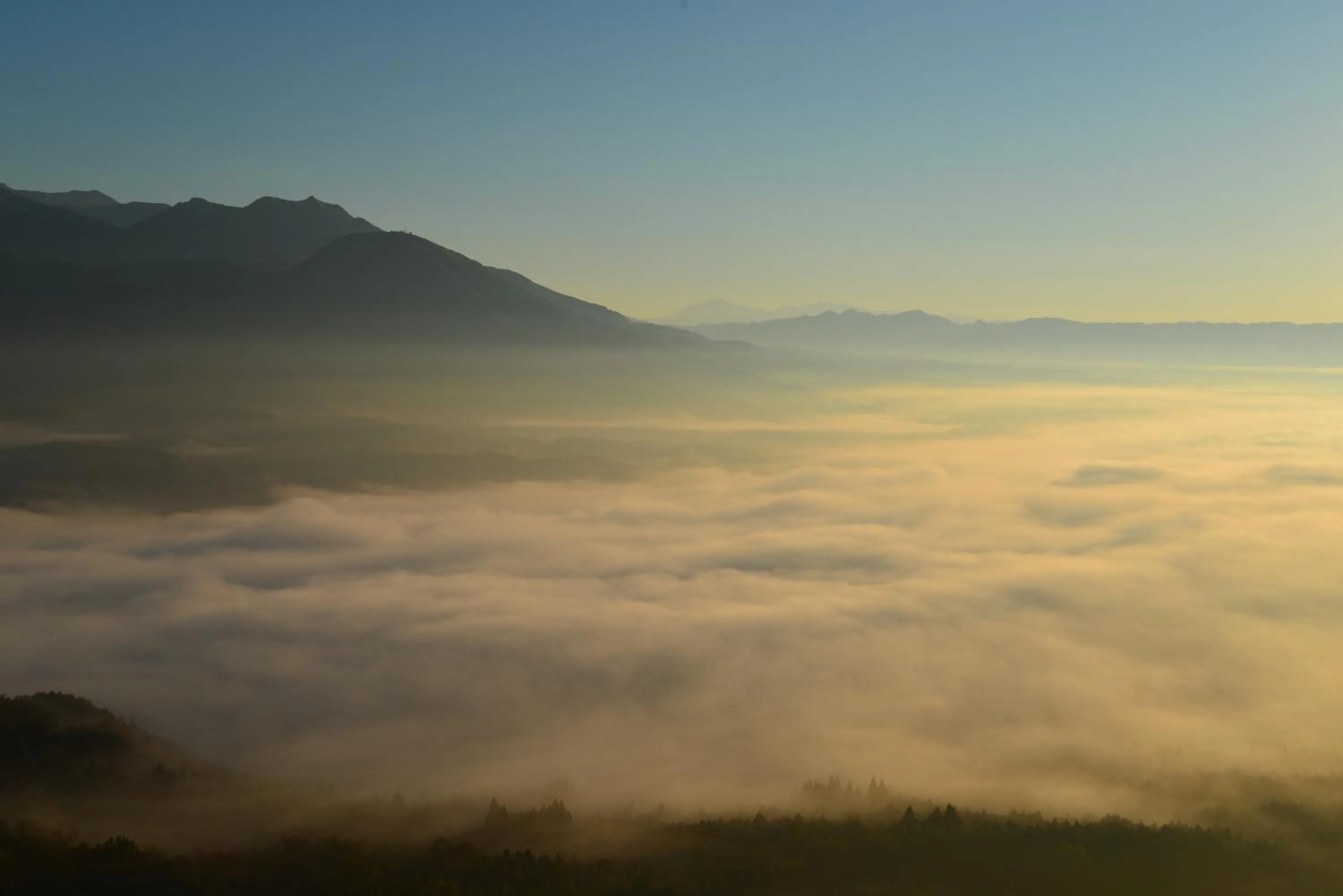 Natural landscape in Shikino Mori