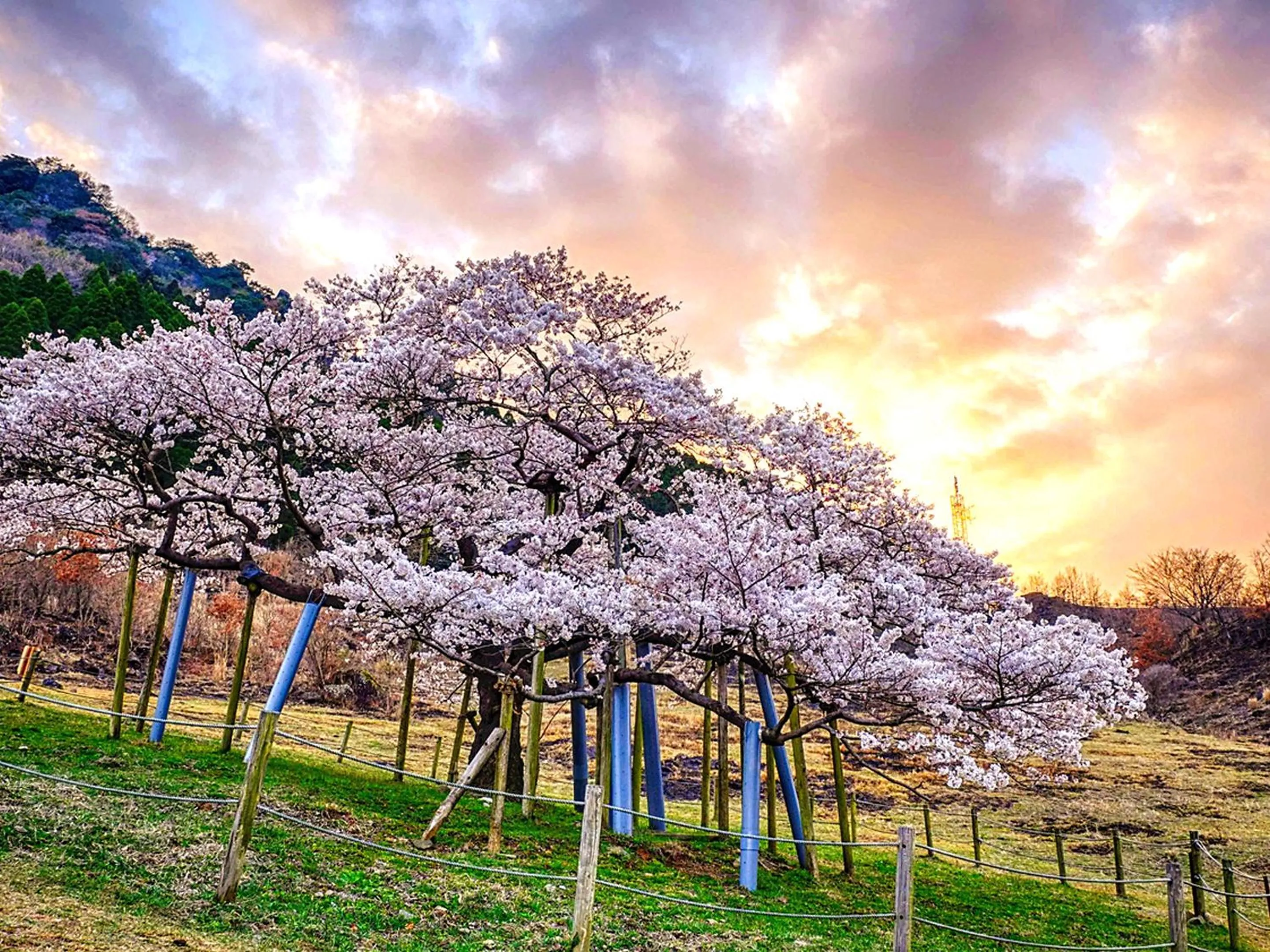 Nearby landmark in Shikino Mori