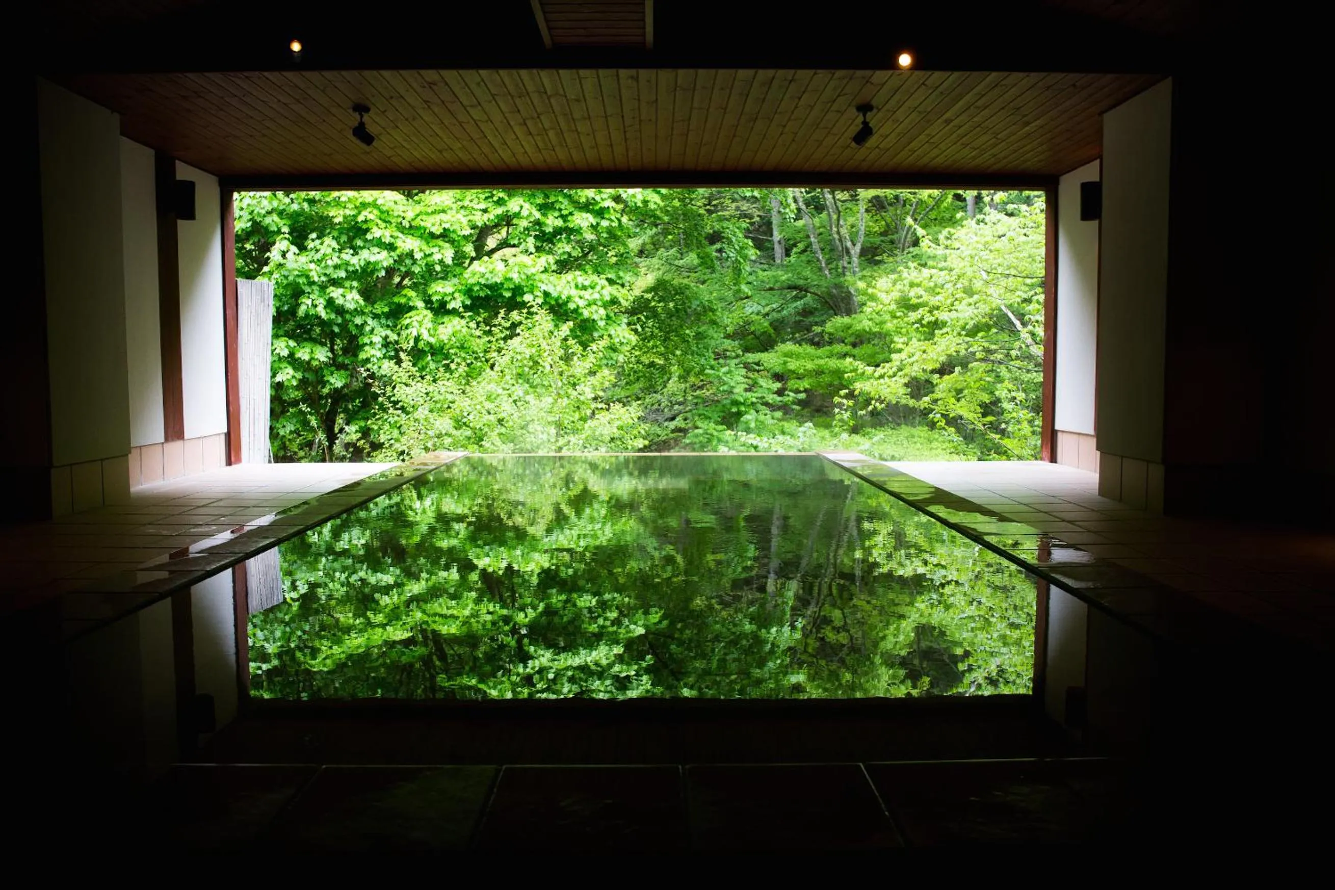 Hot Spring Bath in Myojinkan