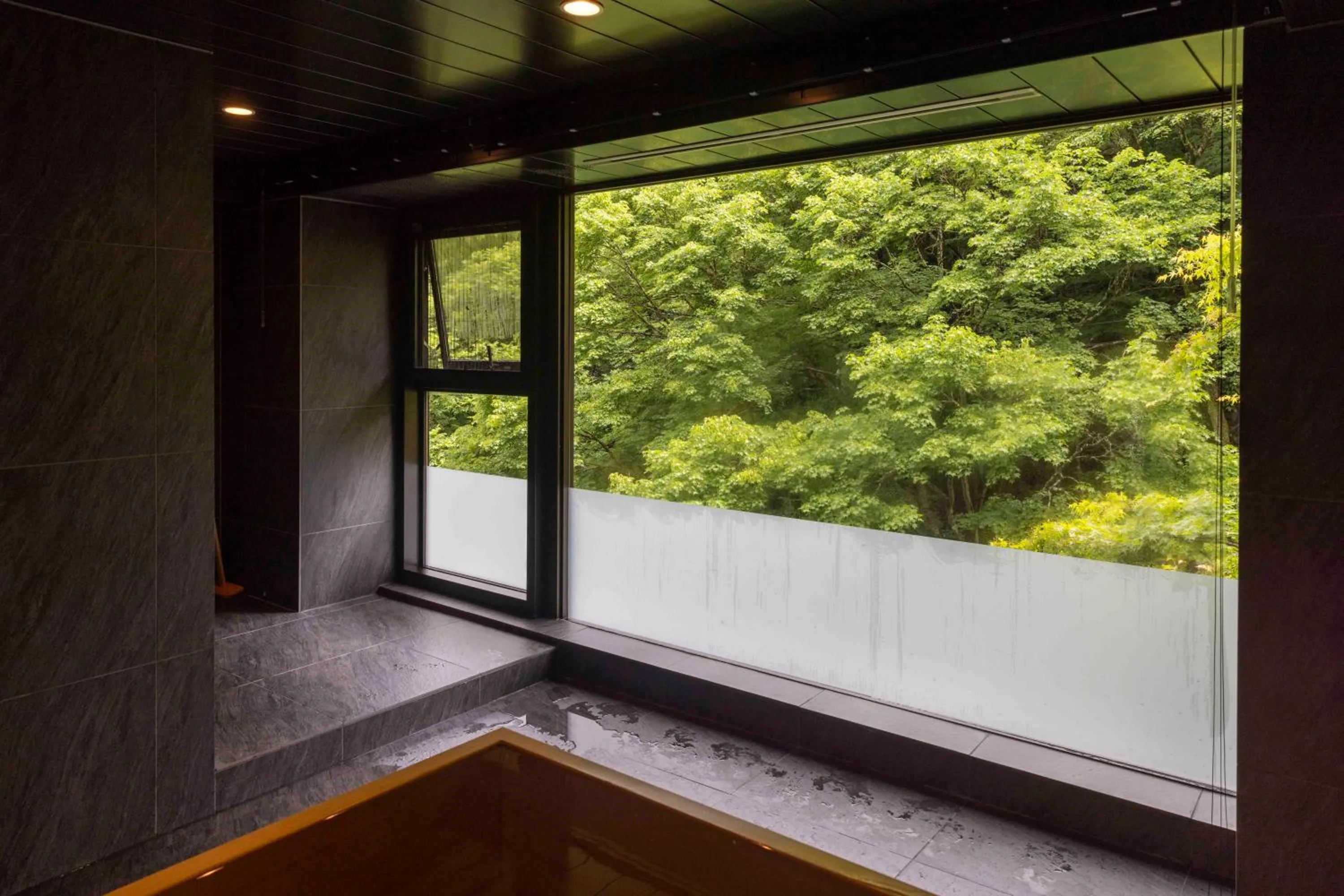 Hot Spring Bath in Myojinkan