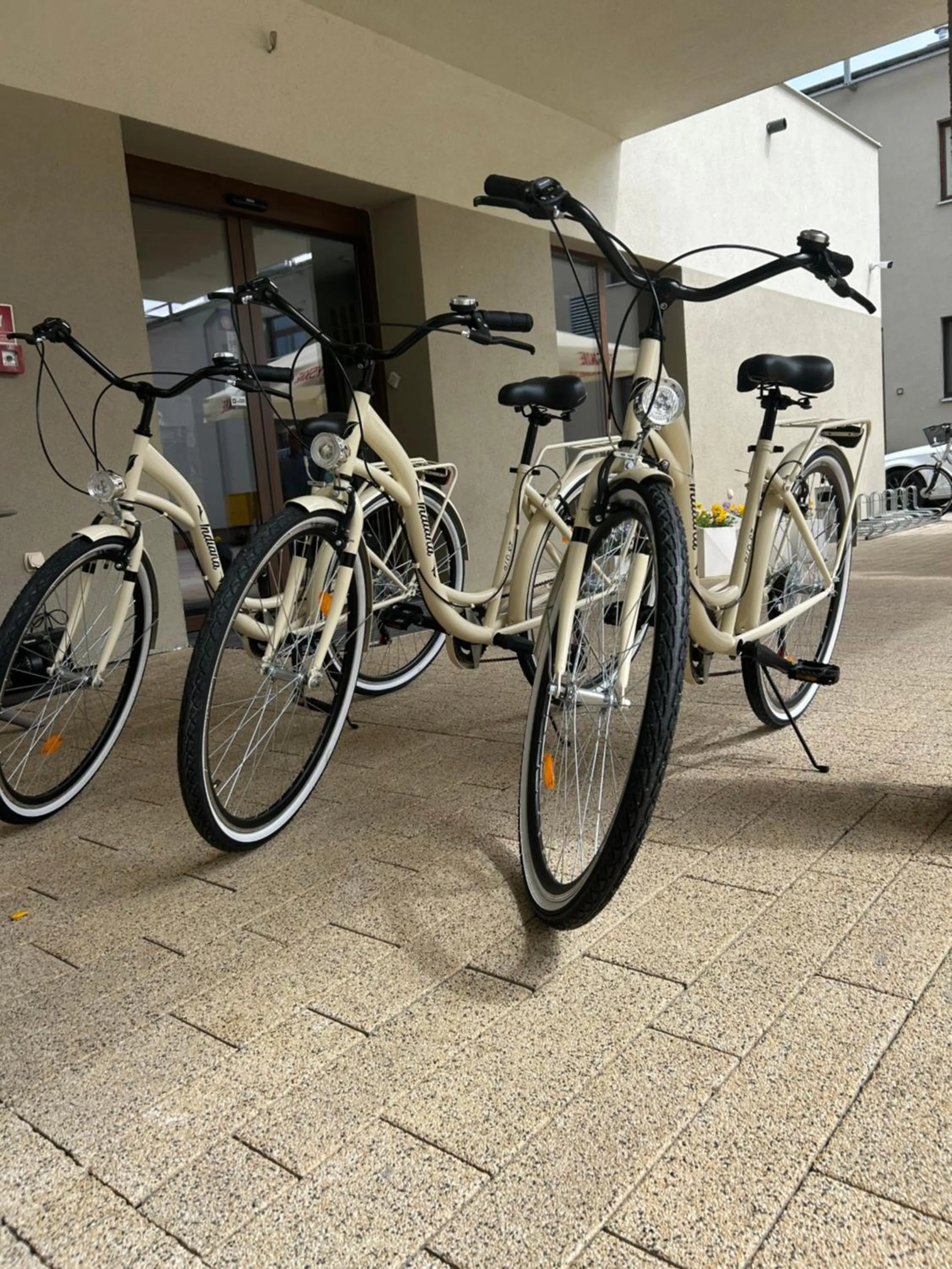 Cycling in Hotel Nad Czernicą