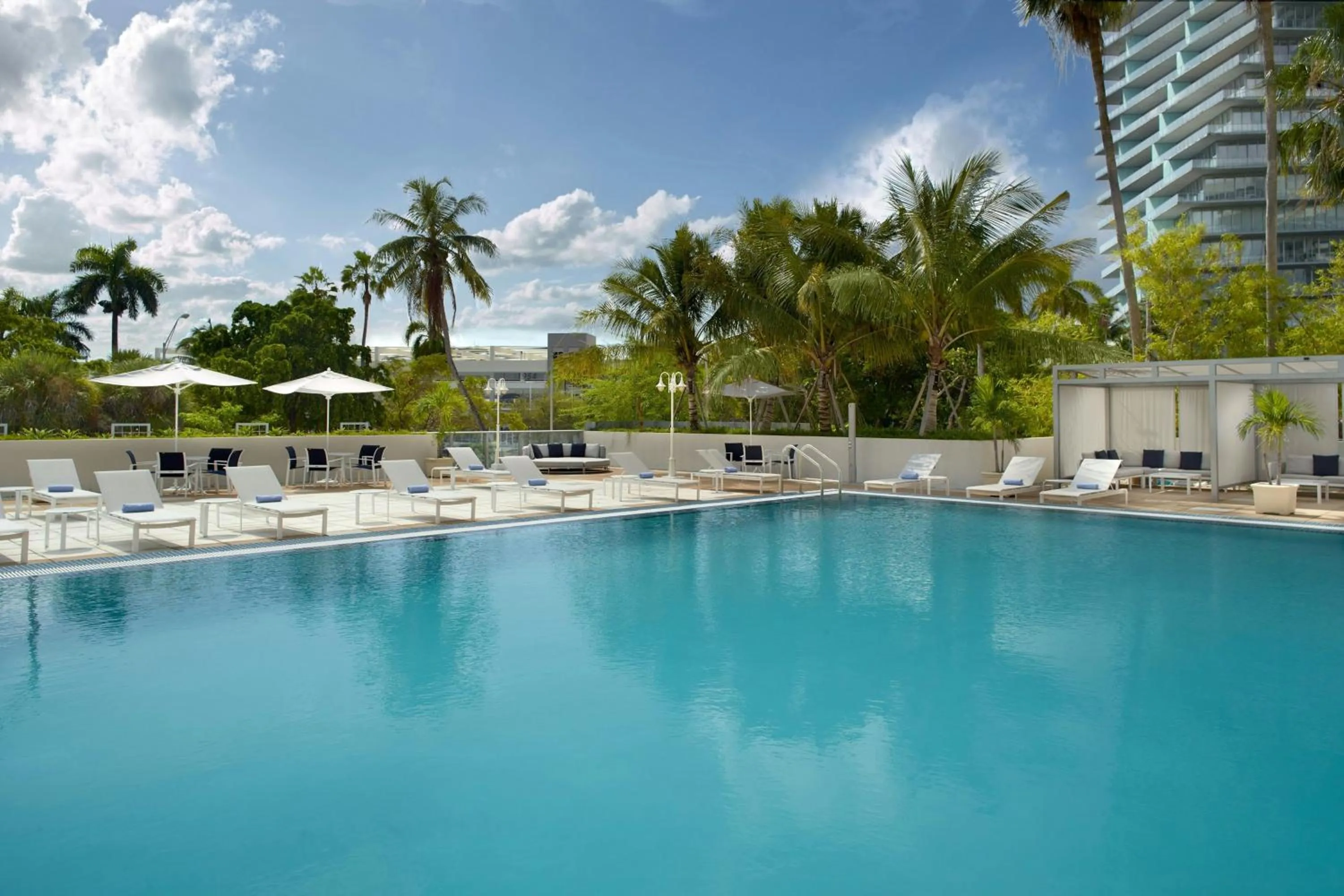 Swimming pool in Courtyard Miami Coconut Grove