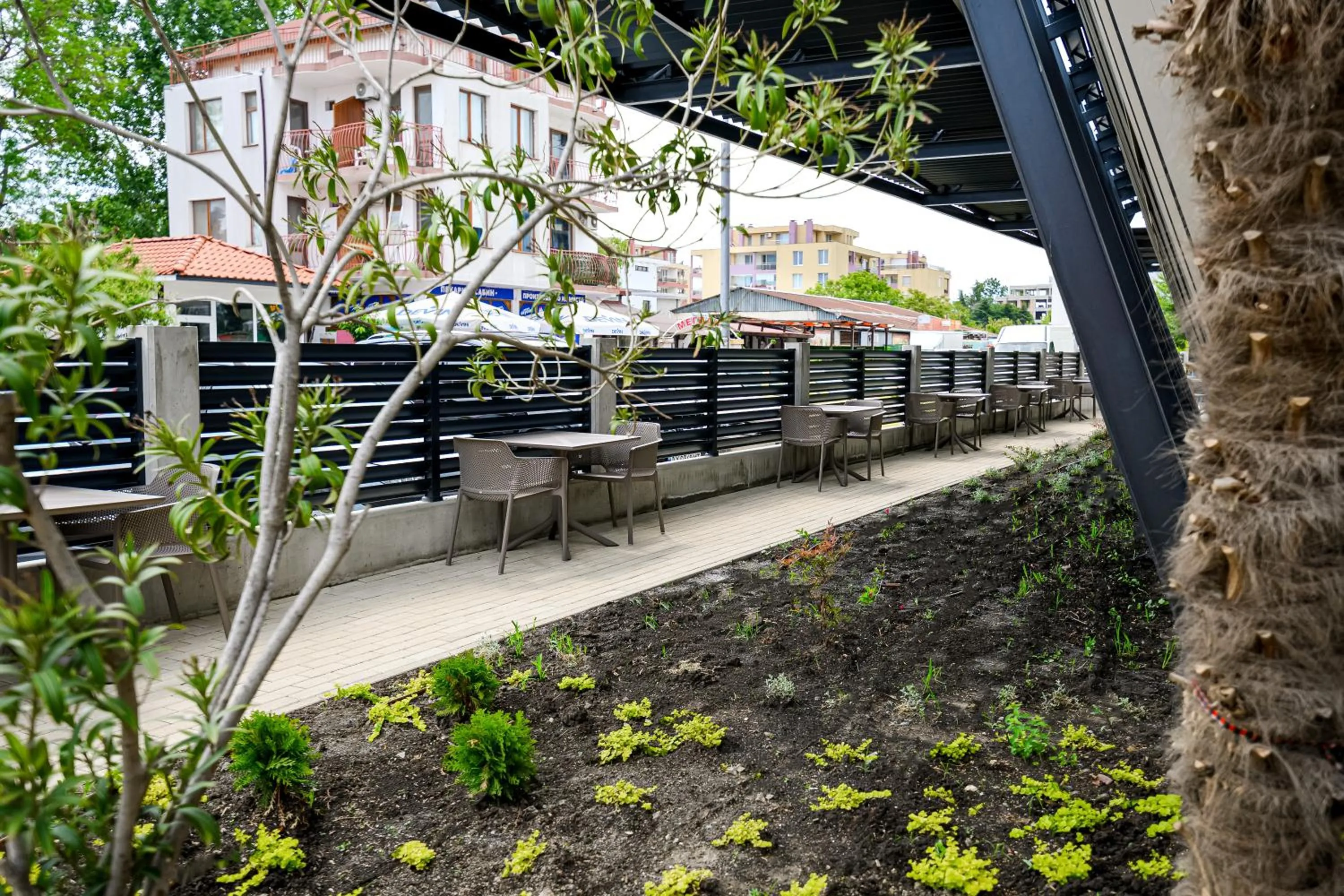 Restaurant/places to eat in Hotel Laguna Park Sunrise