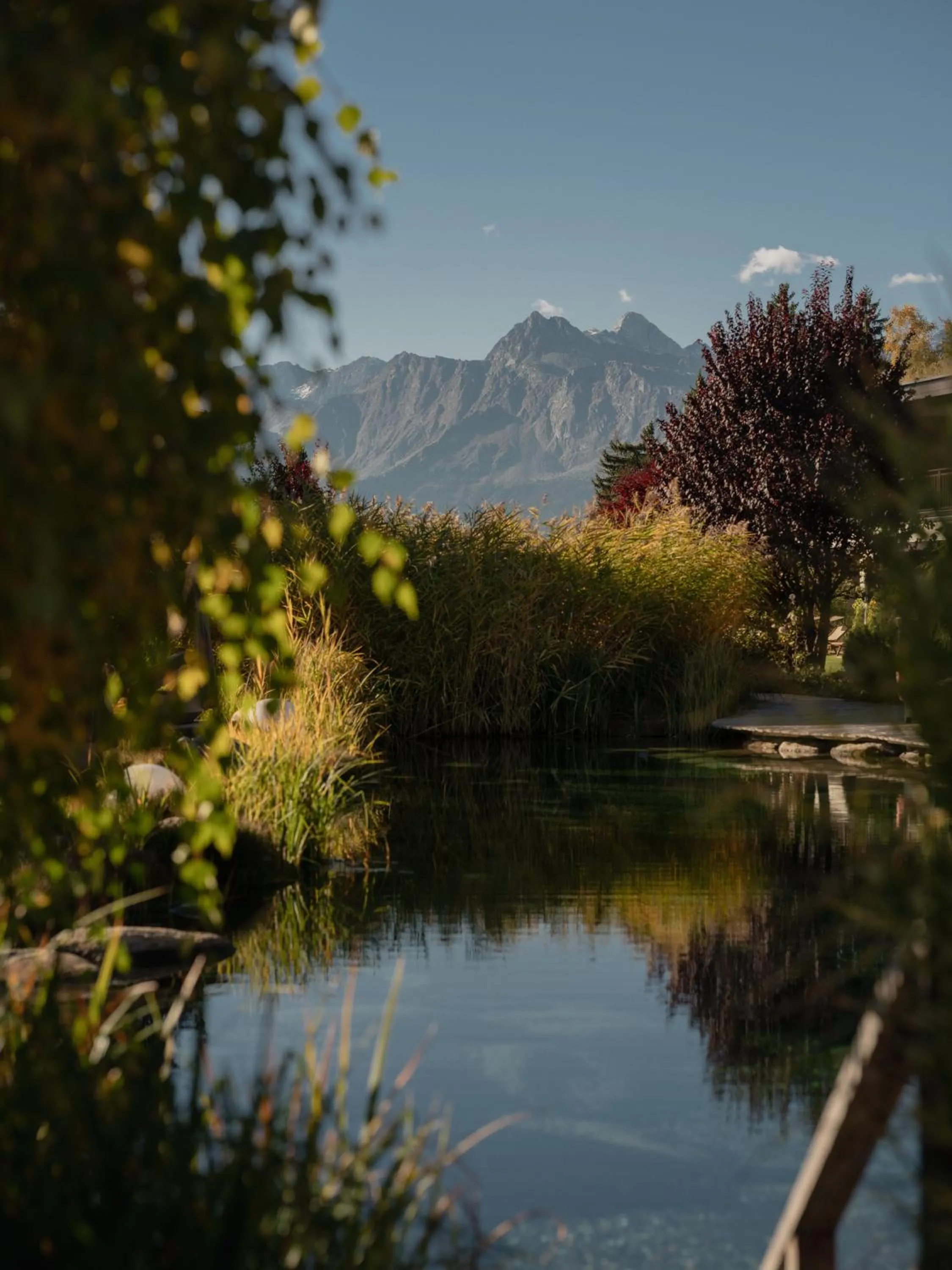 View (from property/room) in Chalet Mirabell