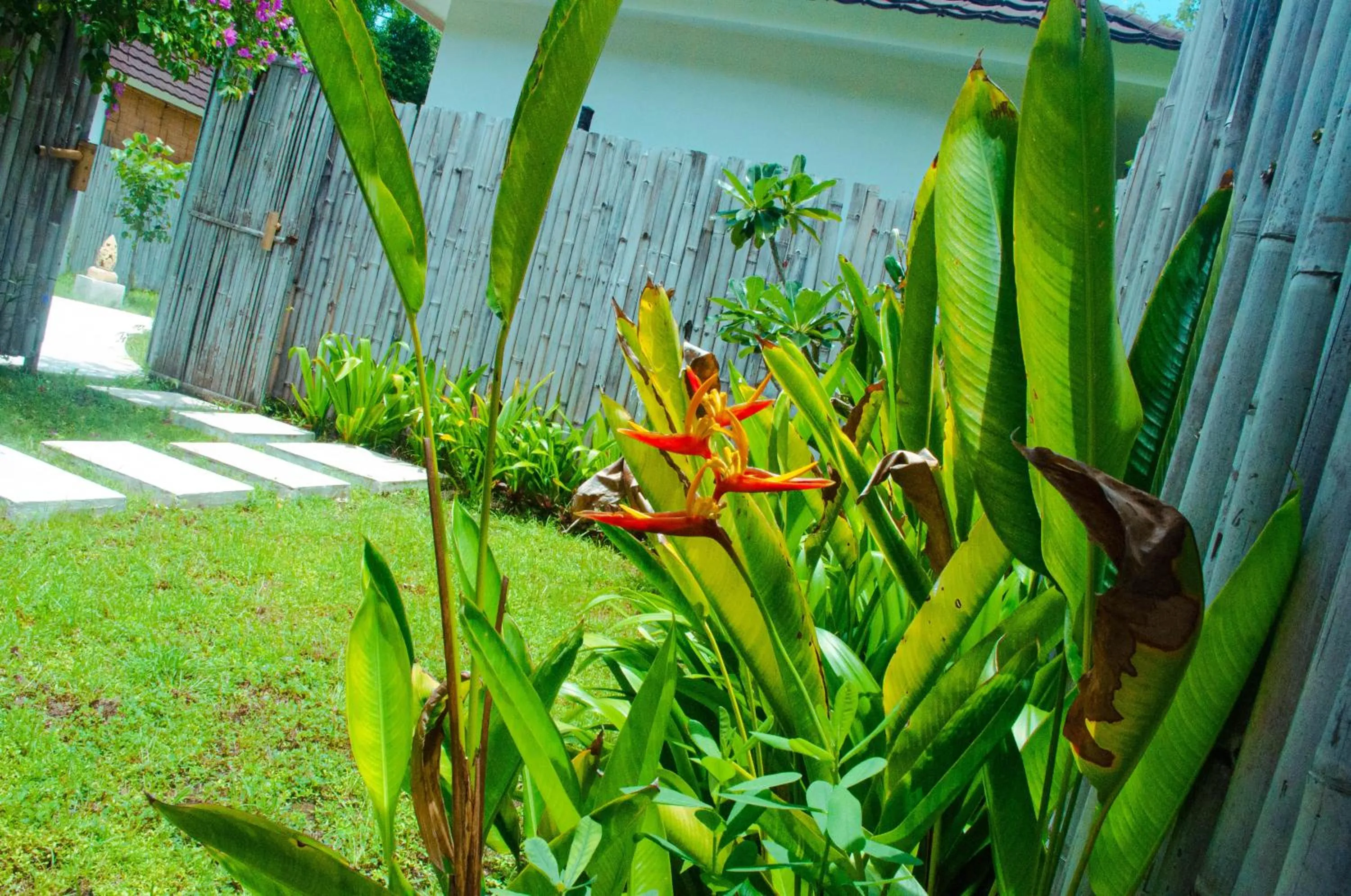 Garden in Villa Samalas Resort and Restaurant