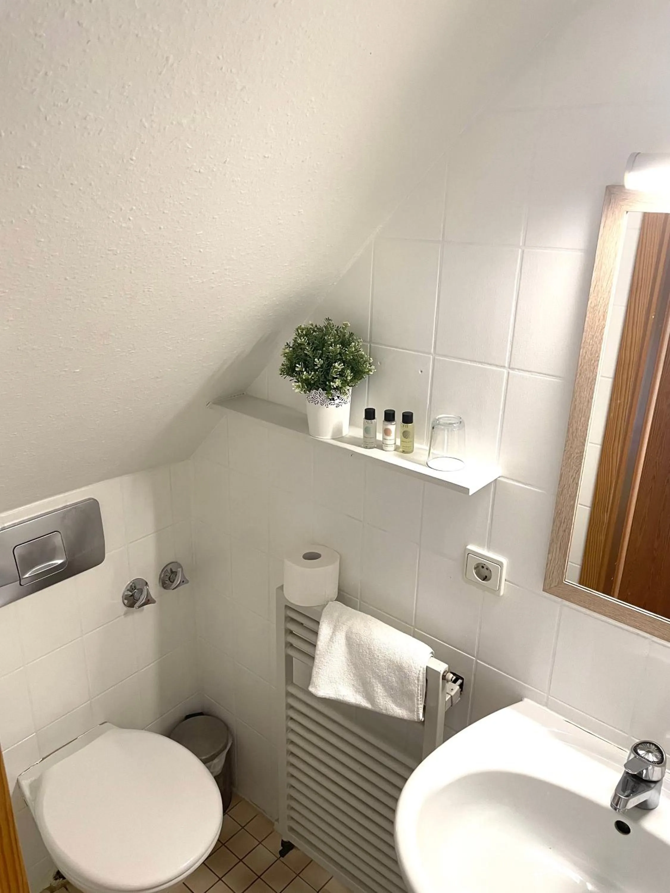 Toilet in Hotel & Restaurant Grüner Baum Merzhausen