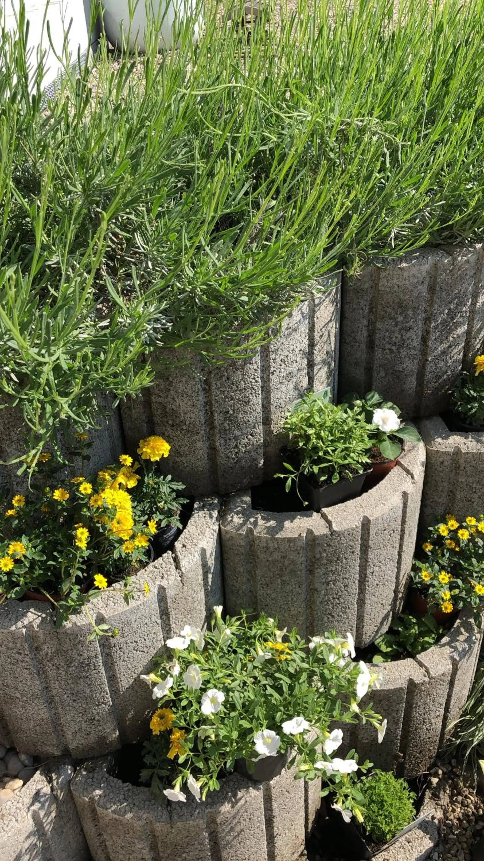 Garden in Hotel & Restaurant Grüner Baum Merzhausen