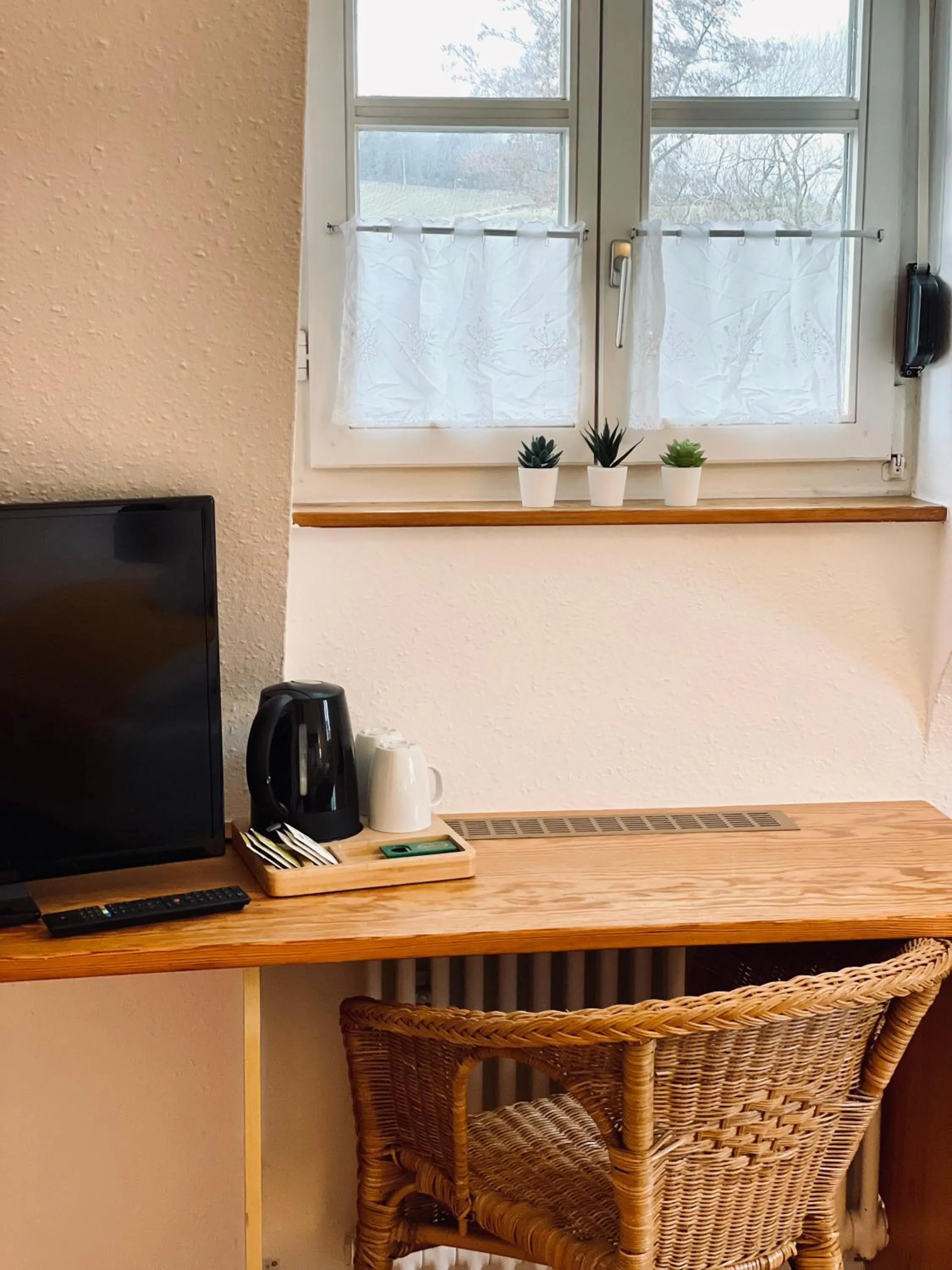 TV and multimedia in Hotel & Restaurant Grüner Baum Merzhausen