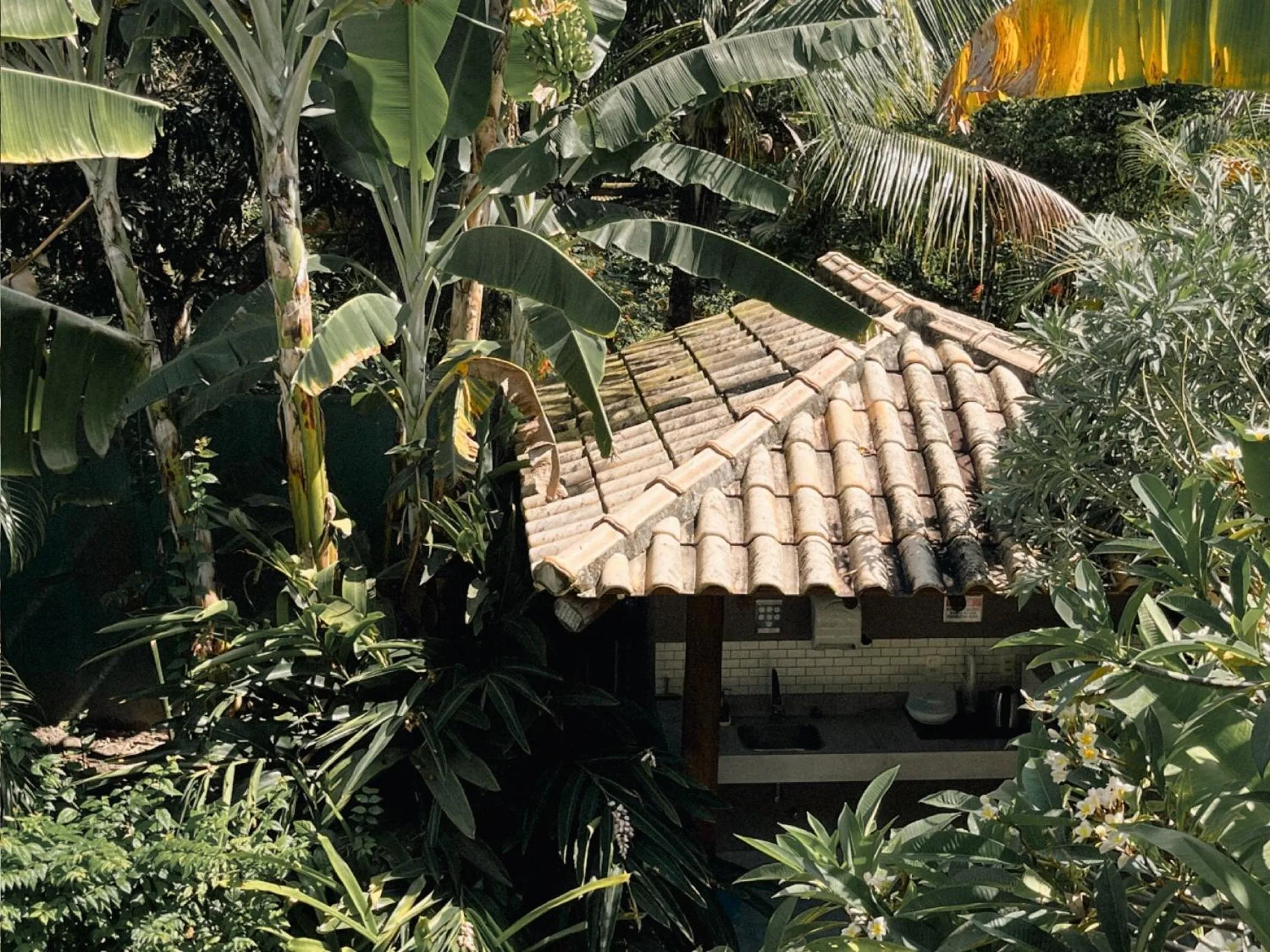 Property building in Carambola Hotel