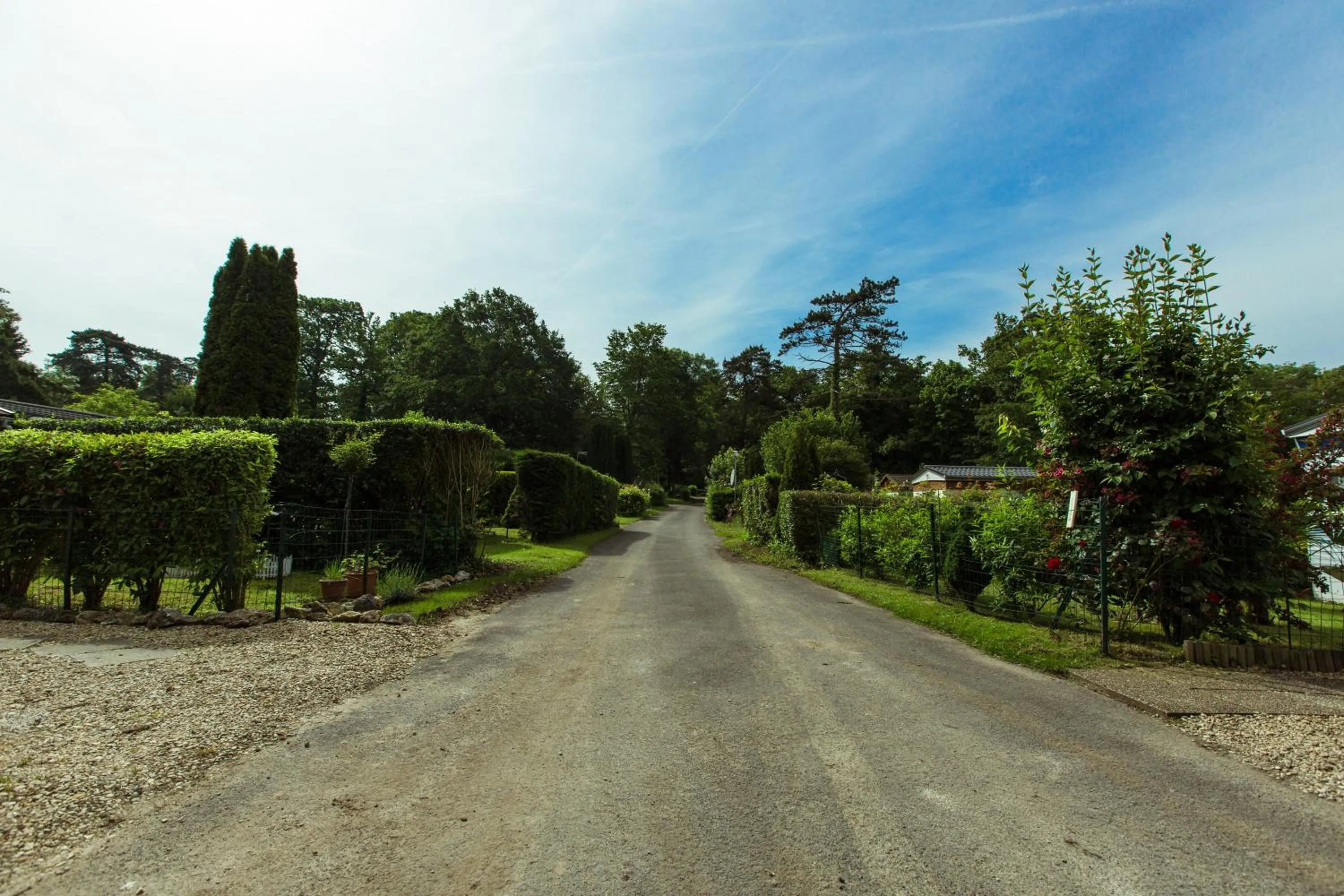 Natural landscape in Camping des Bondons