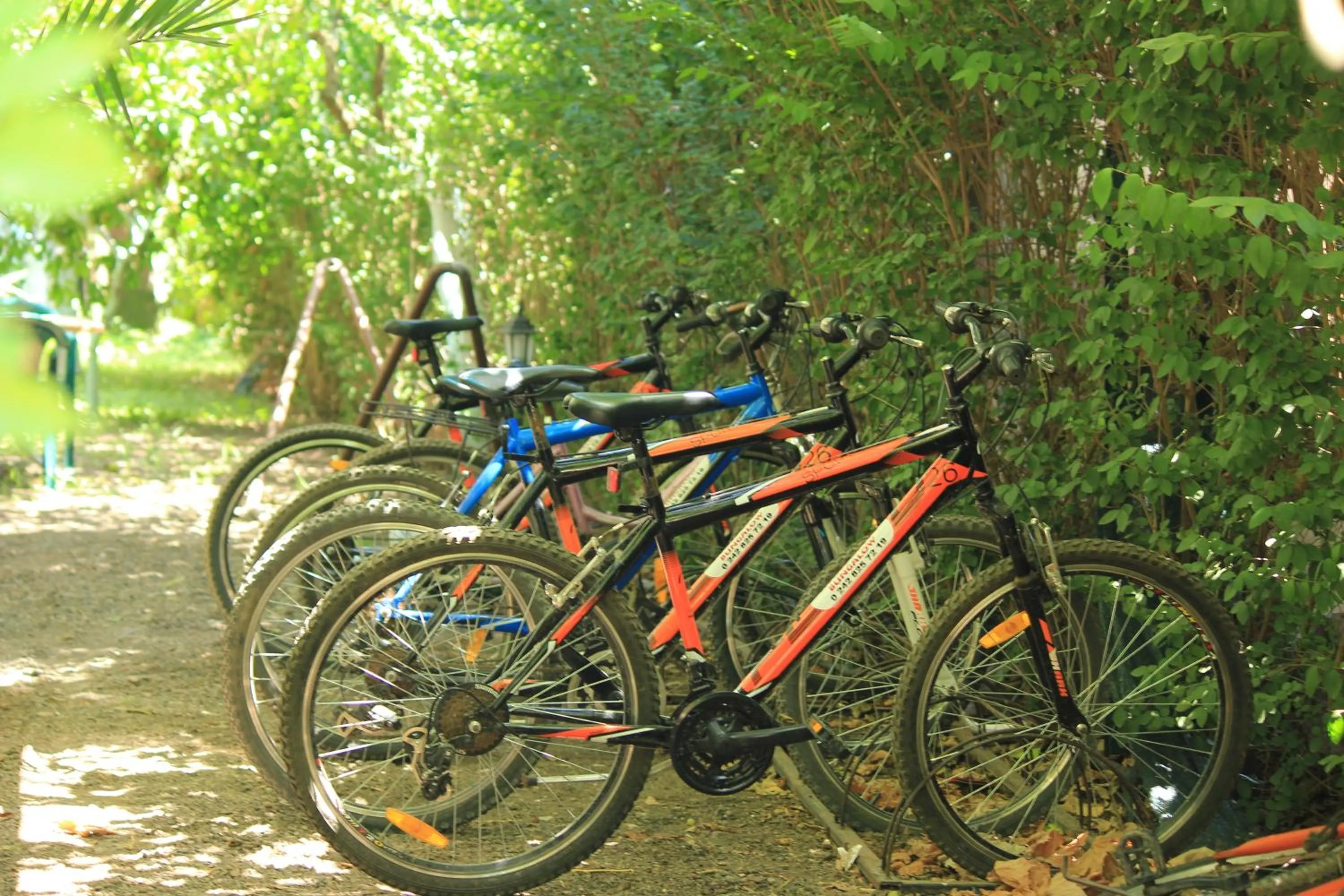 Cycling in Mercan Bungalow