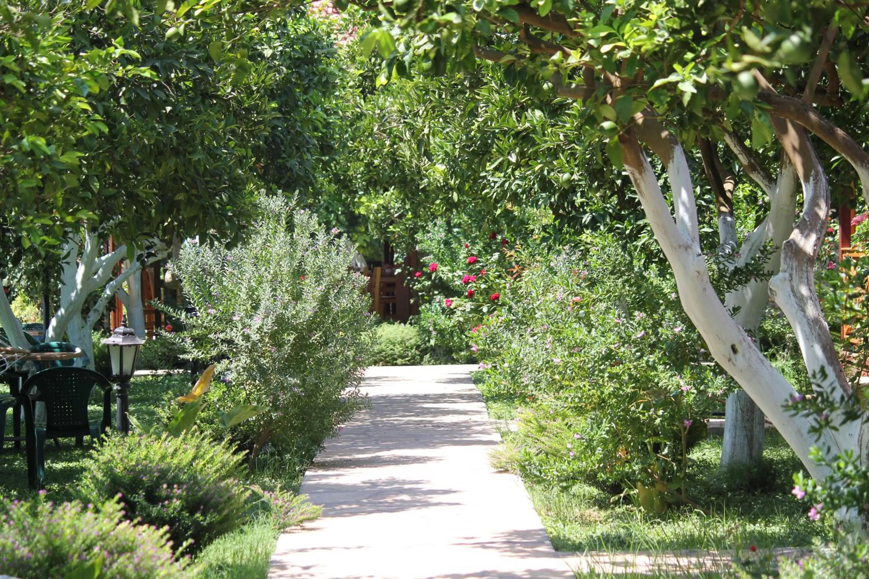 Natural landscape in Mercan Bungalow