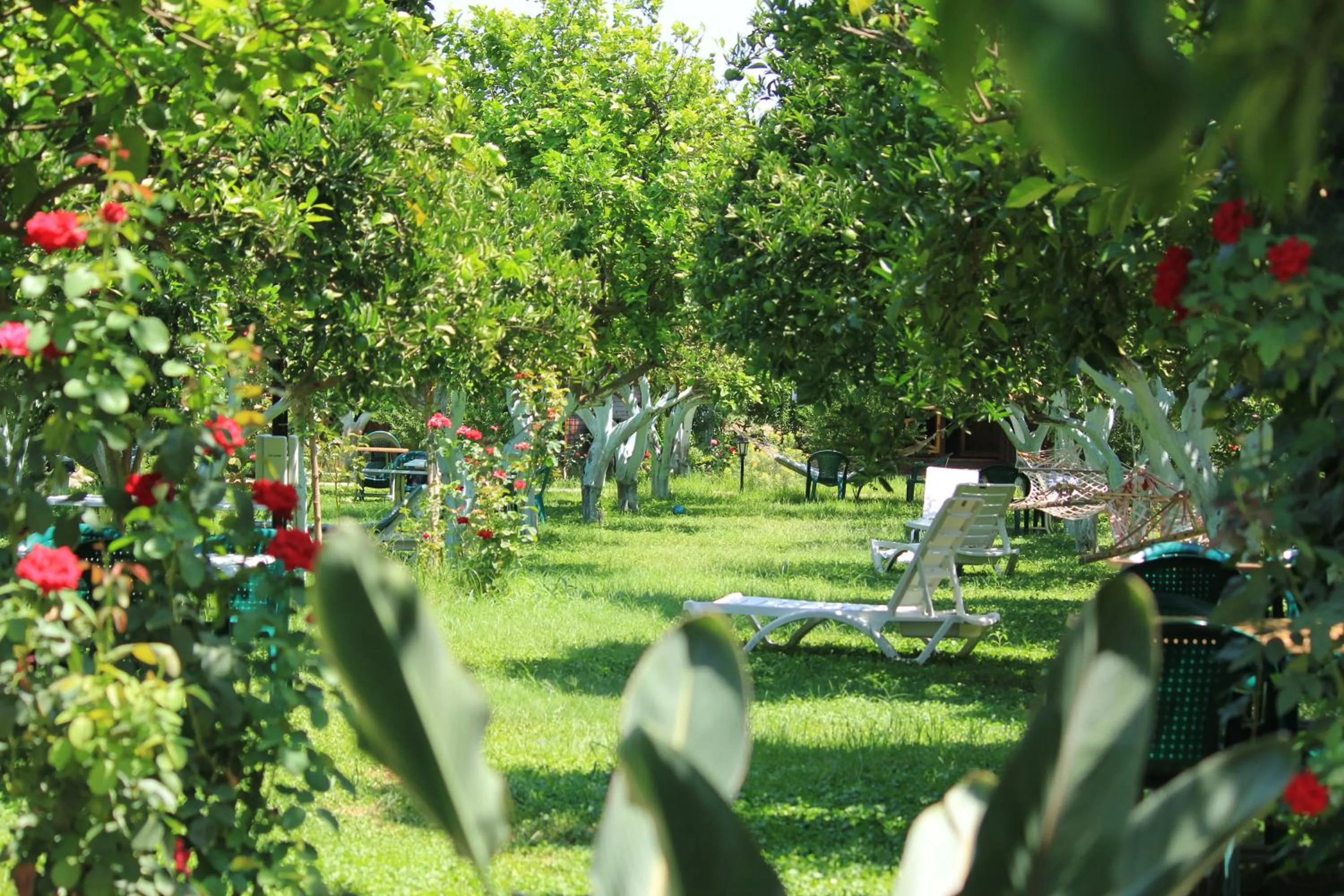 Natural landscape in Mercan Bungalow
