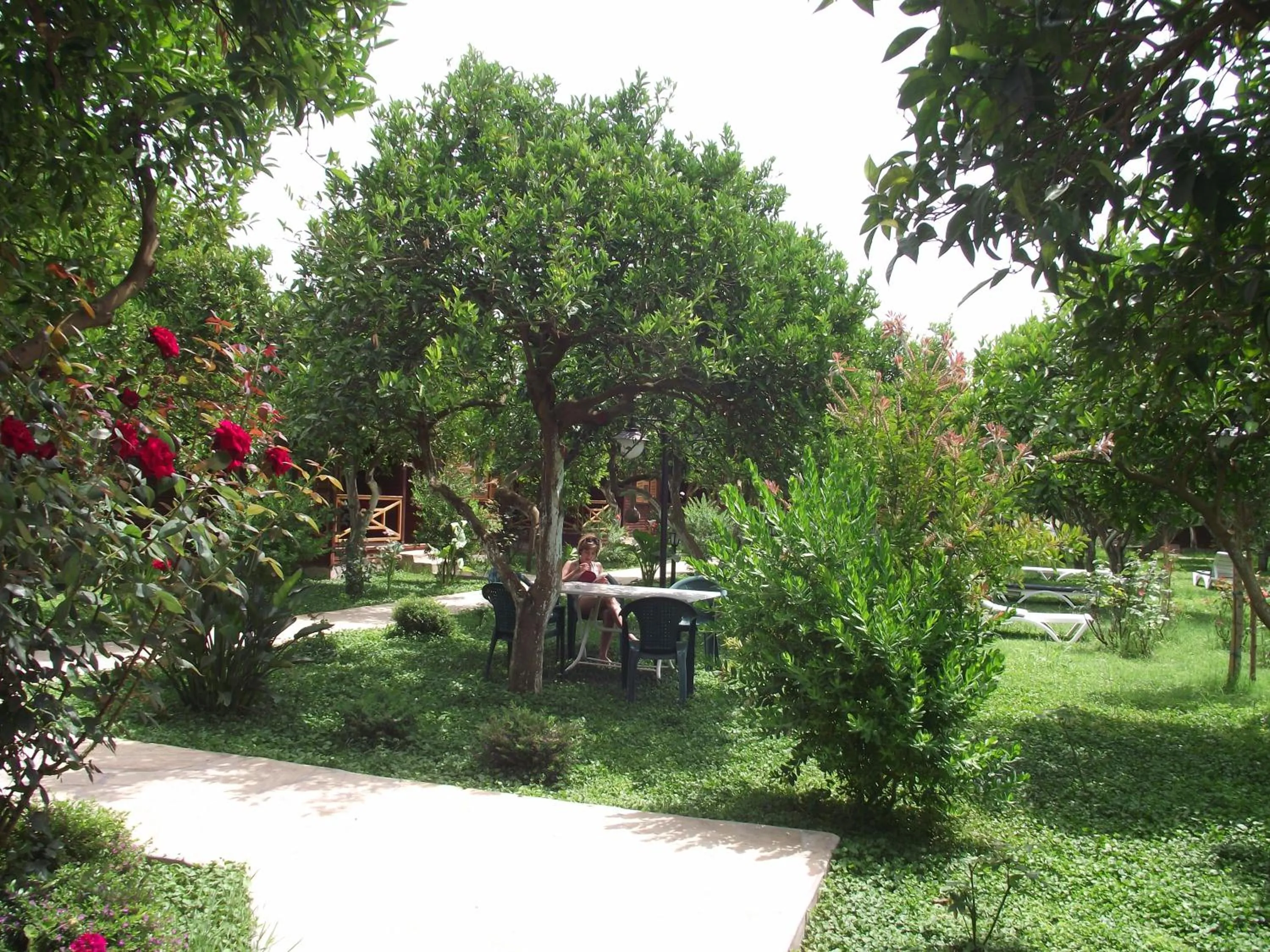 Garden view in Mercan Bungalow