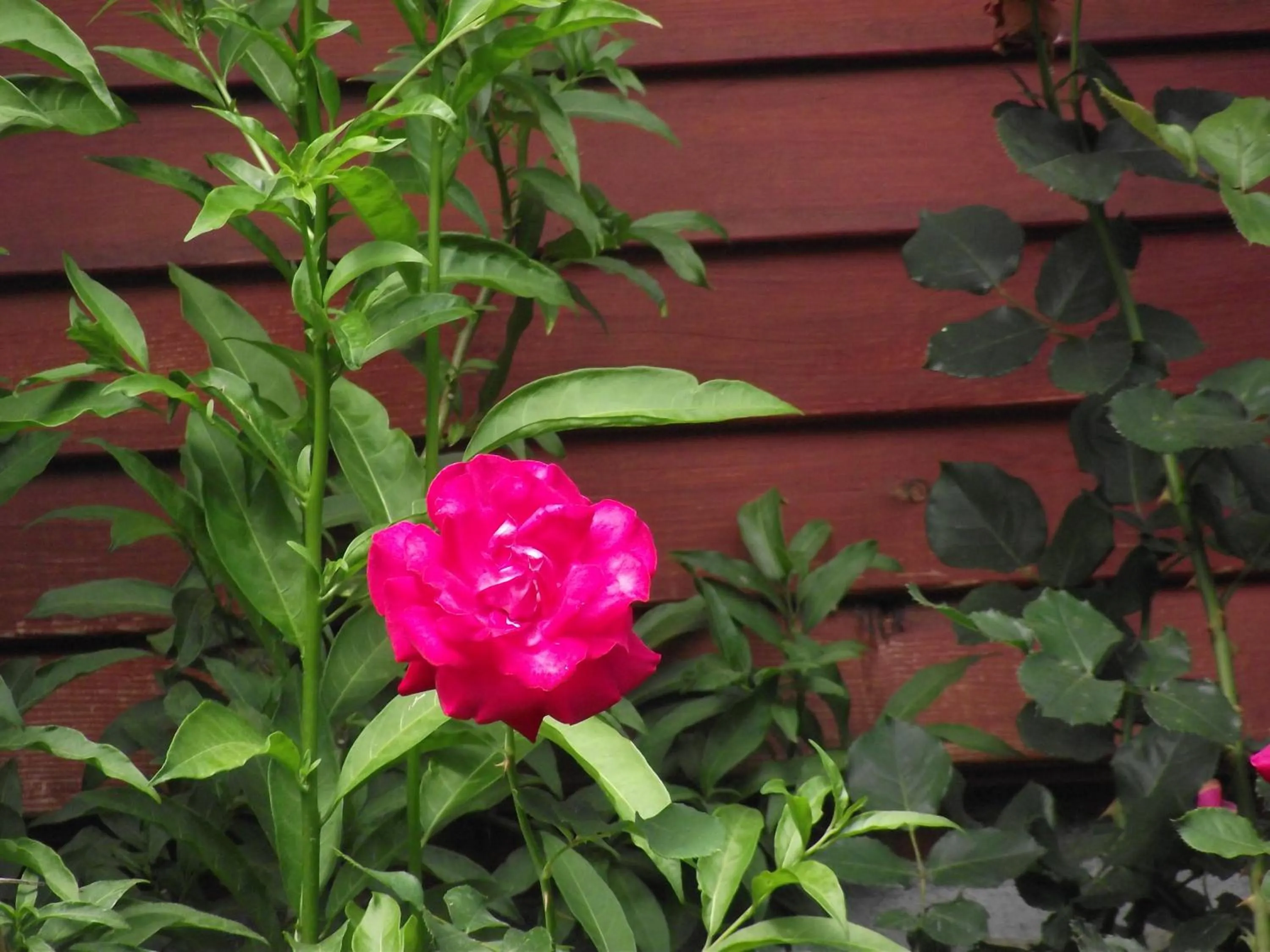 People in Mercan Bungalow