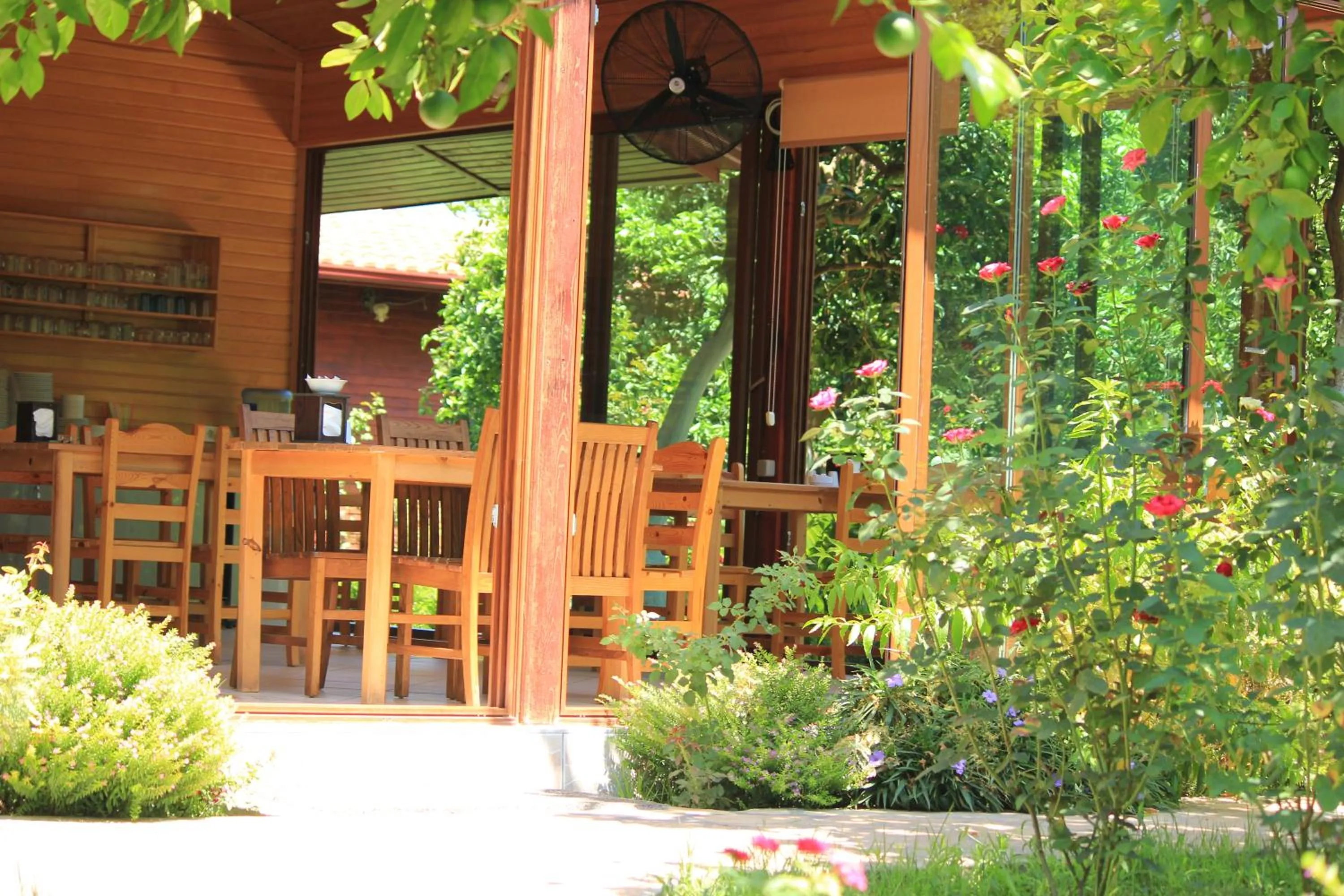 Restaurant/places to eat in Mercan Bungalow