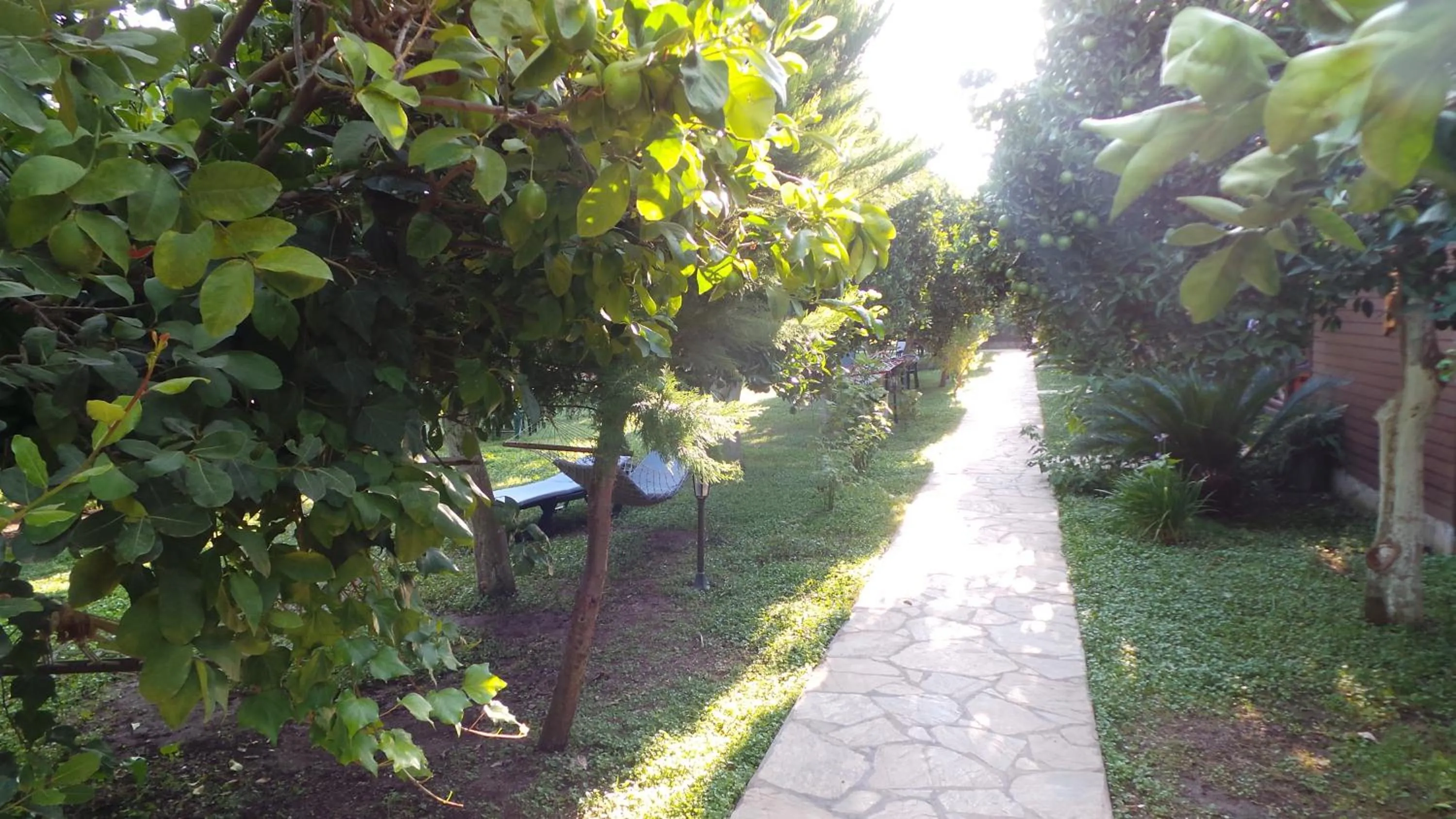 Garden in Mercan Bungalow