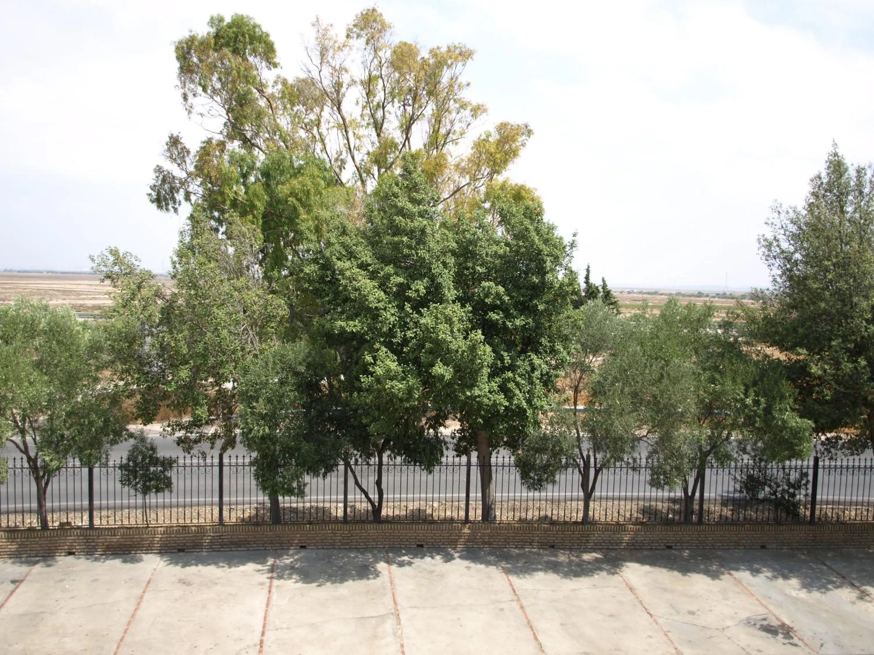 Day in Hotel Caballo Negro