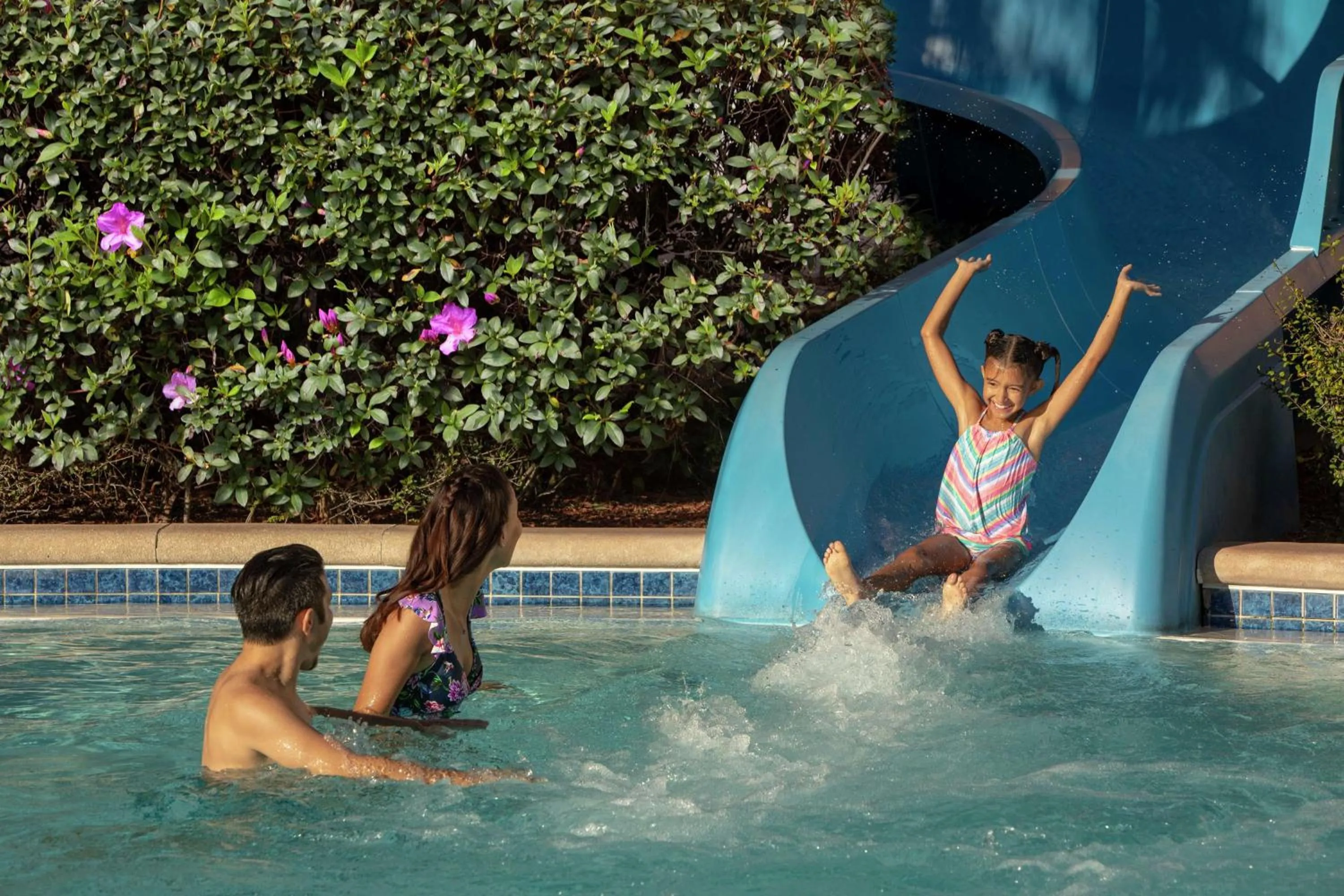 Pool view in Hilton Orlando